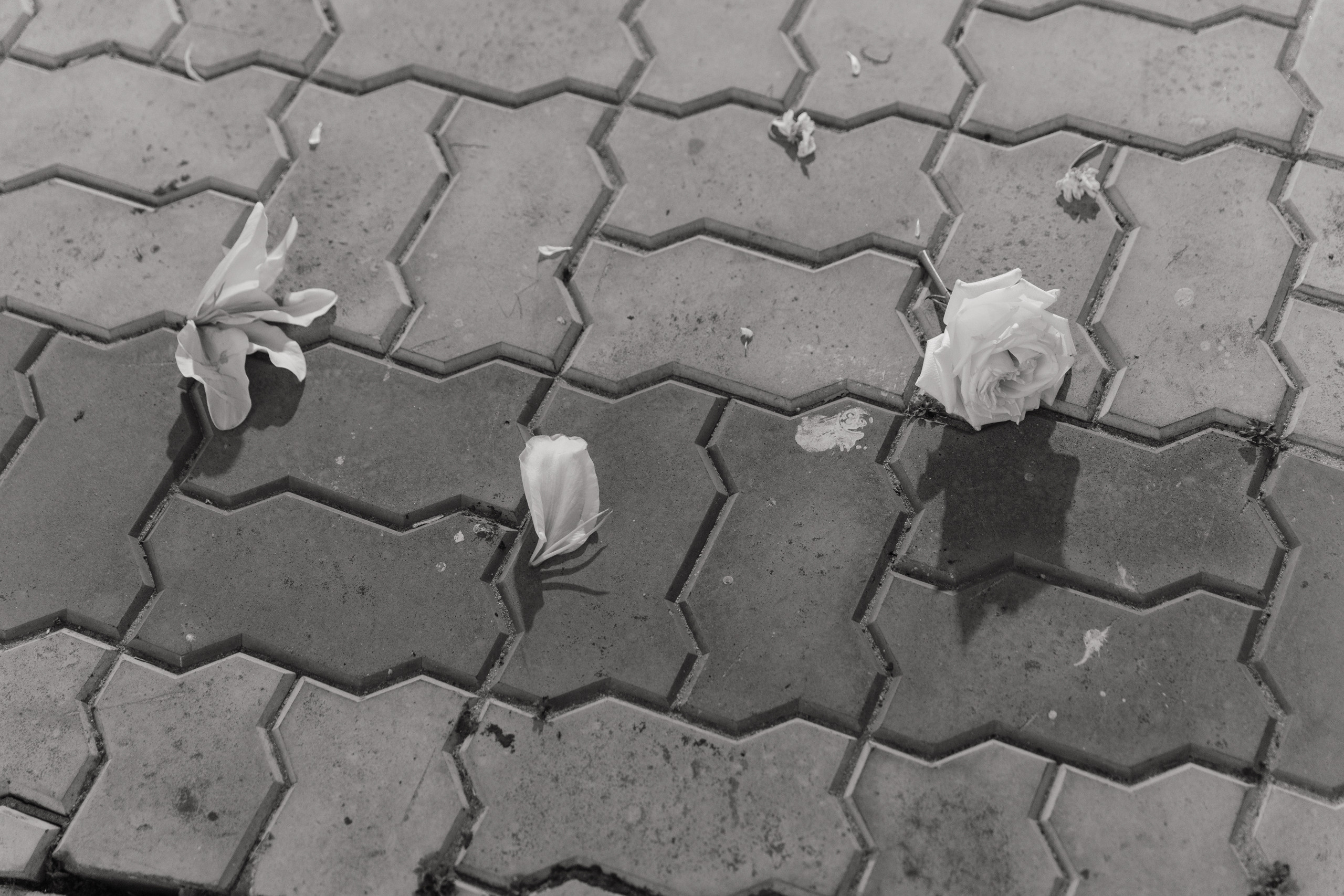 Свадебный анонс Насти и Сергея