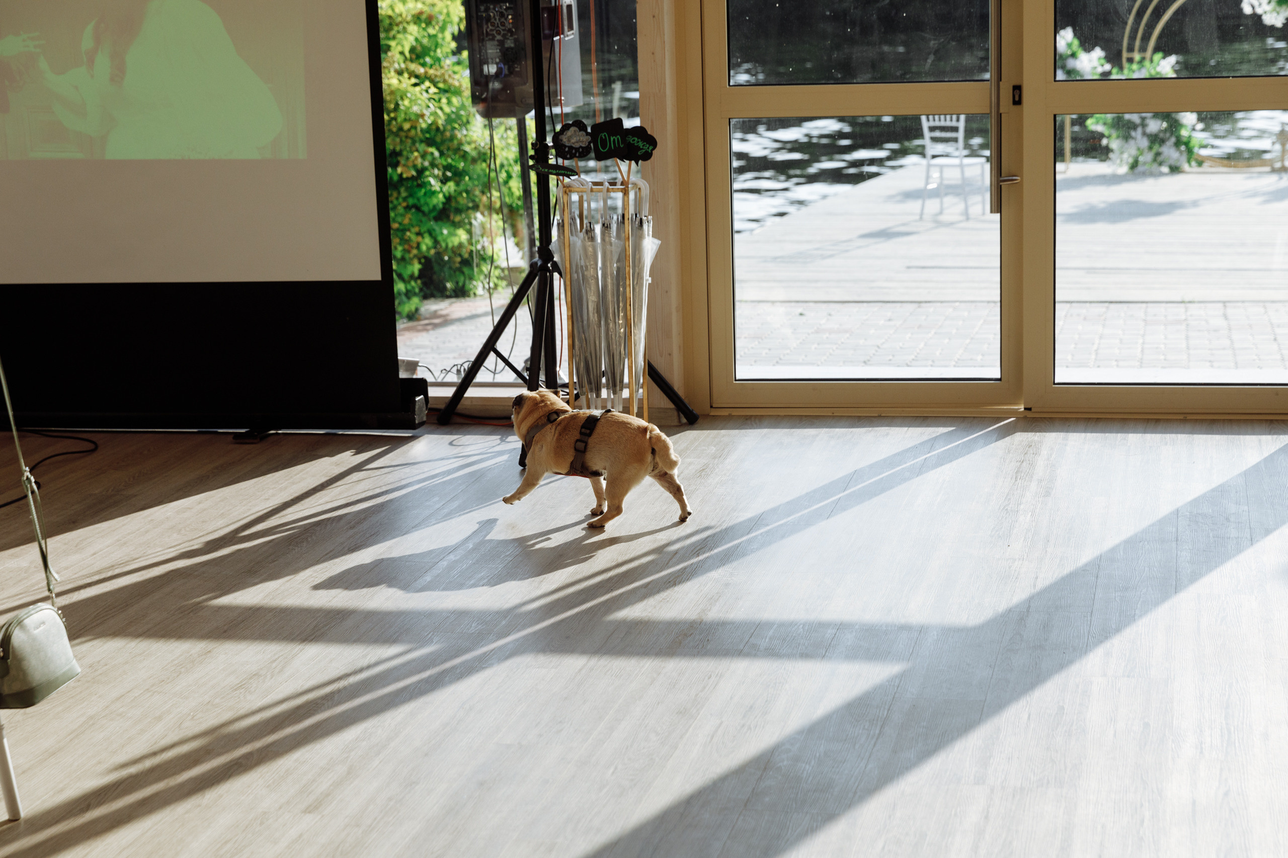 Свадебный анонс Насти и Сергея