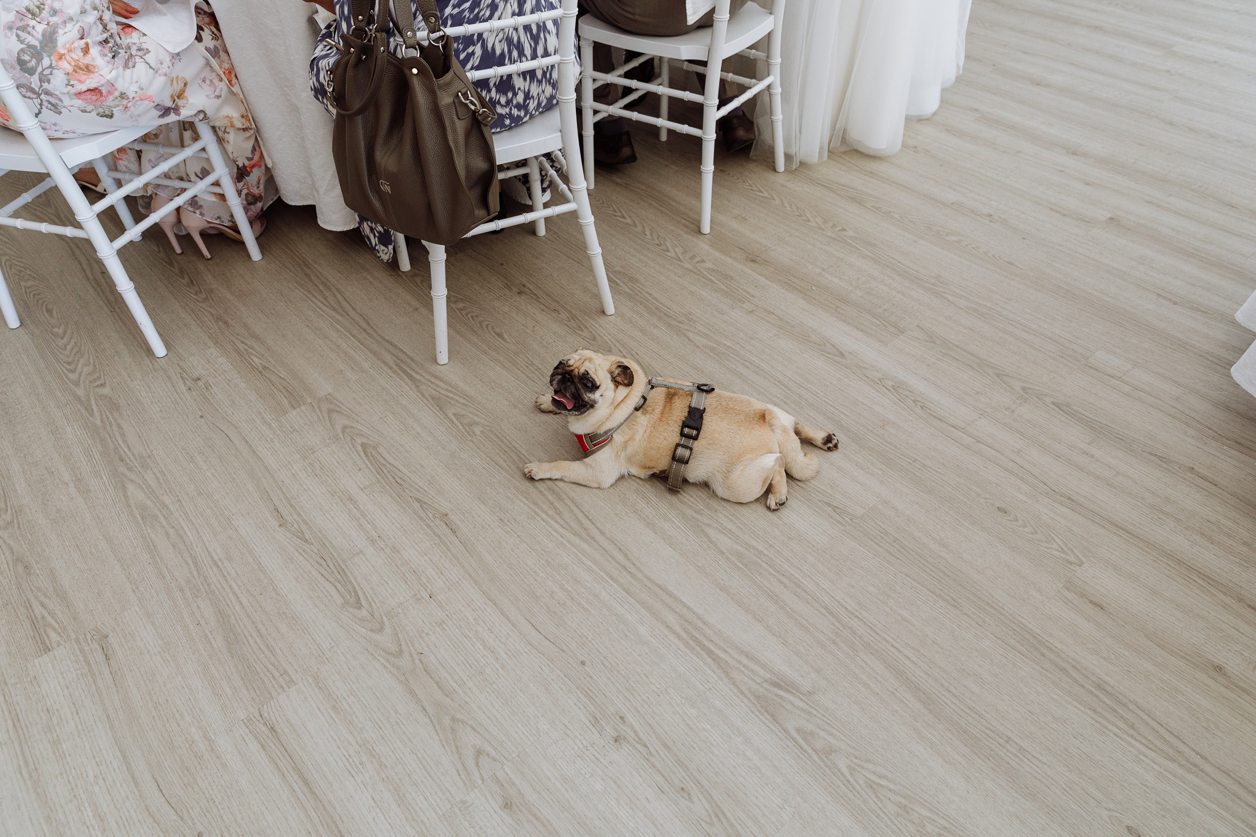 Свадебный анонс Насти и Сергея