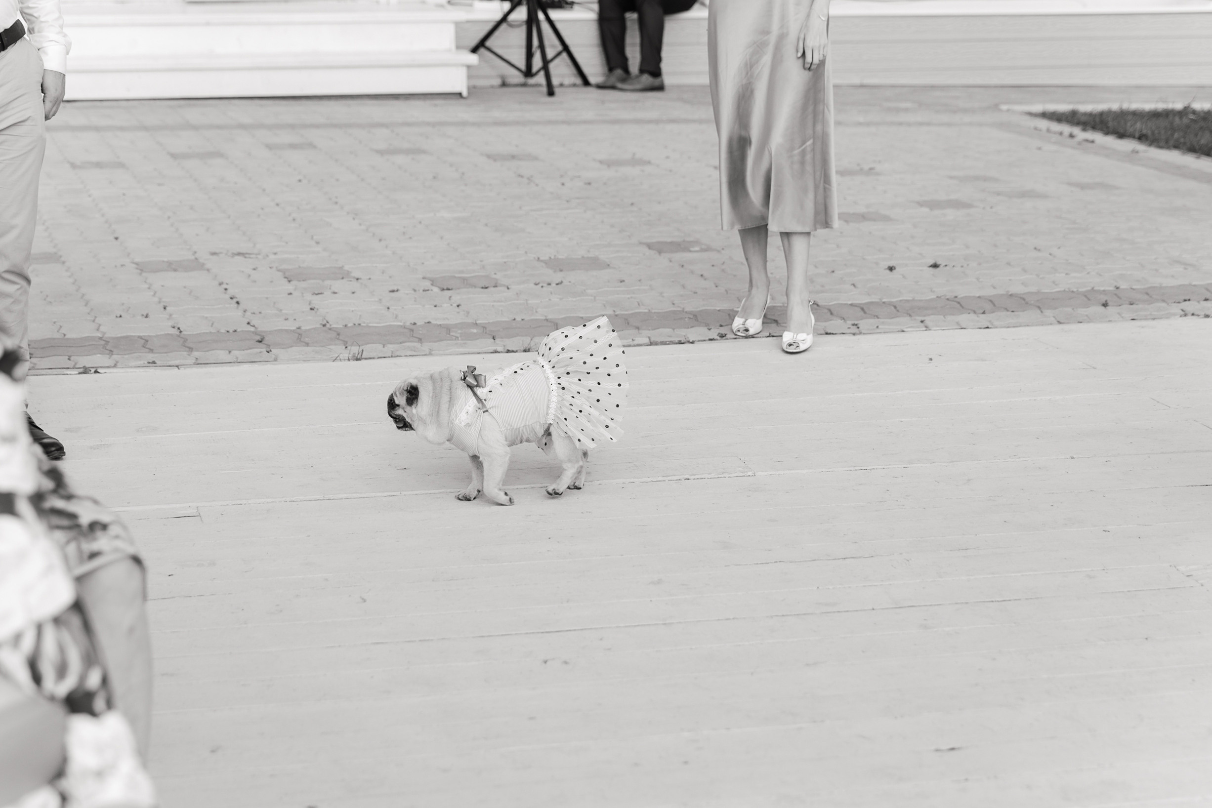 Свадебный анонс Насти и Сергея