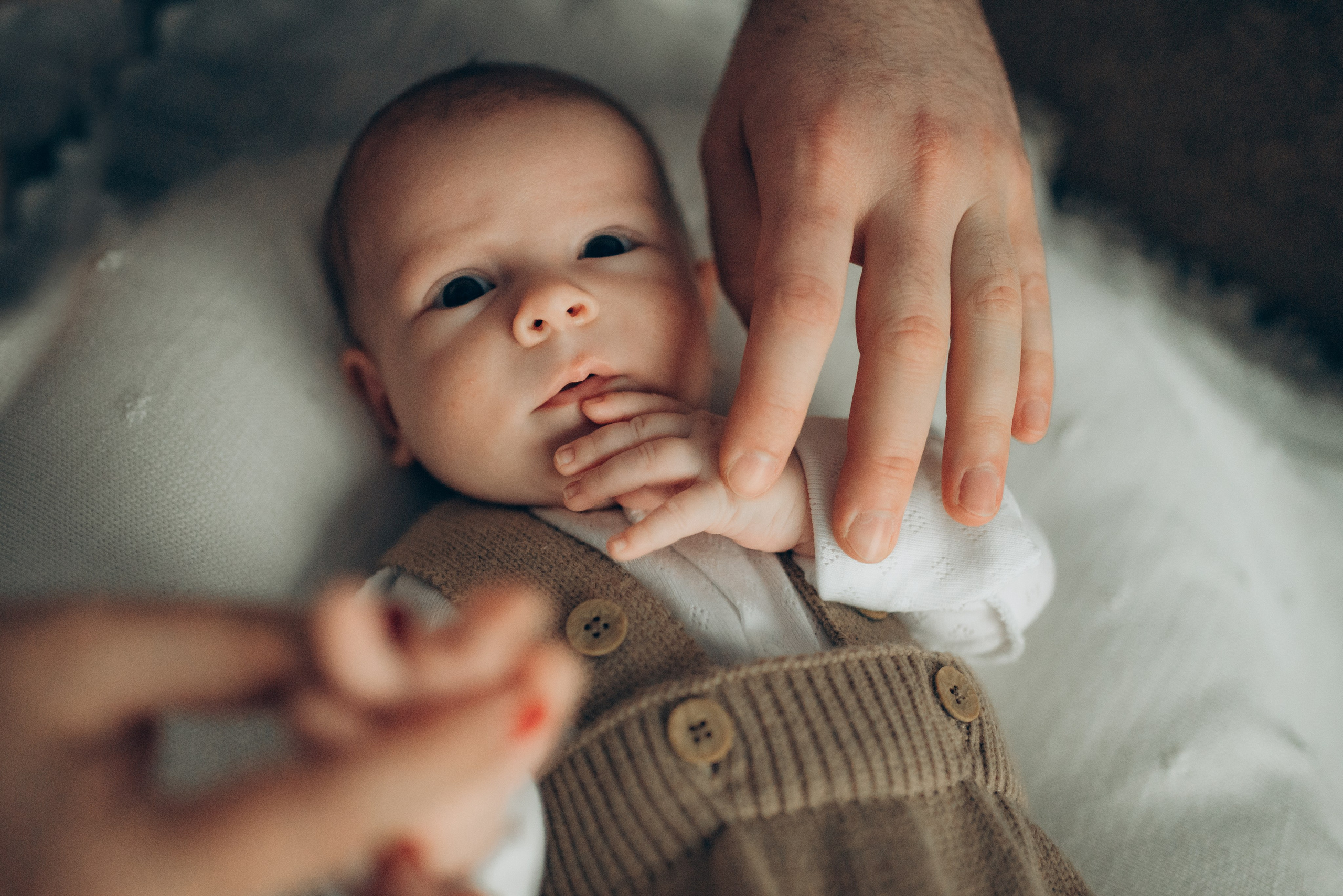 Паша. Семейный и детский фотограф в Щелково Алена Дробот