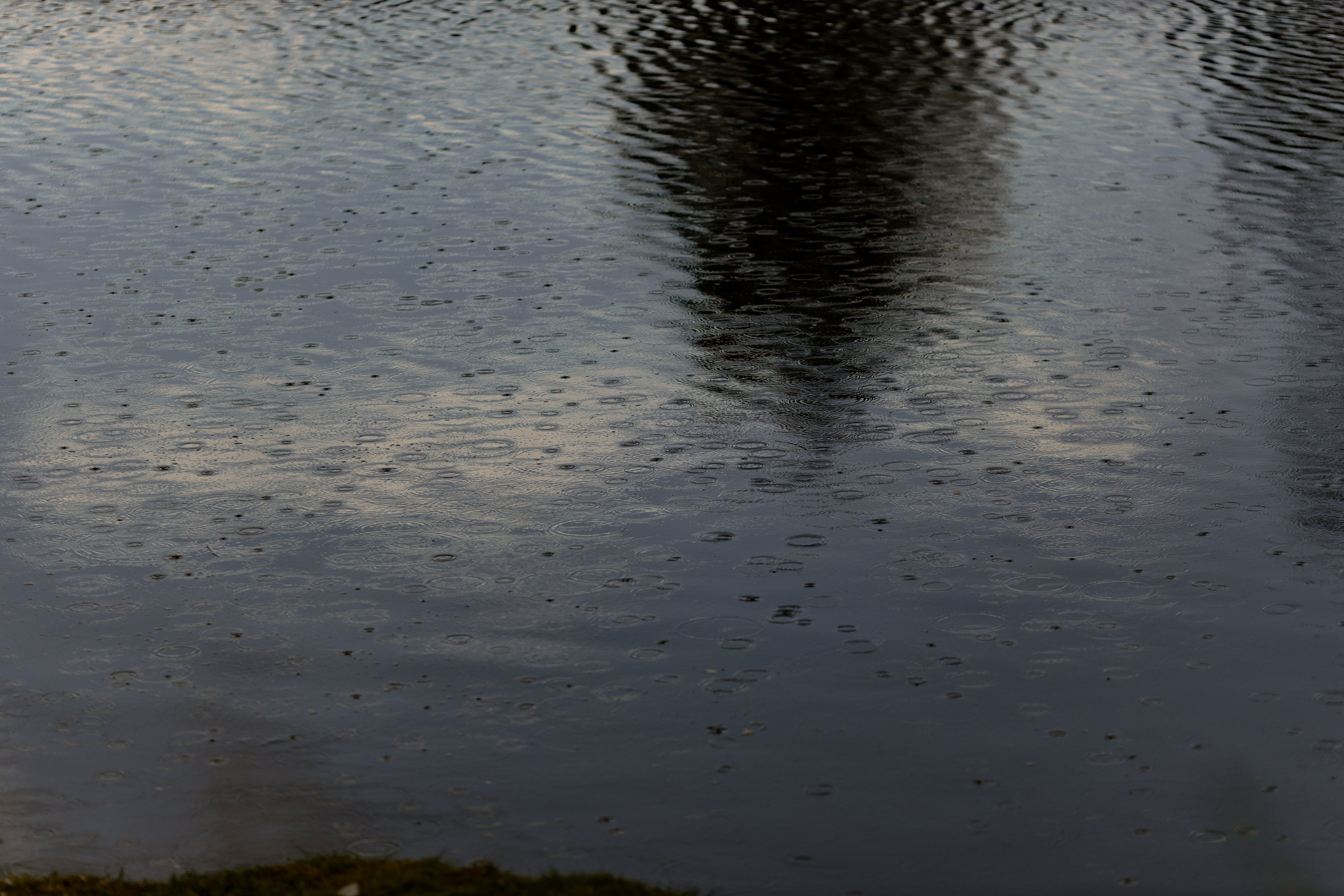 Станислав & Дарья. Дмитрий Позняк — свадебный фотограф в Брянске. Личный сайт фотографа