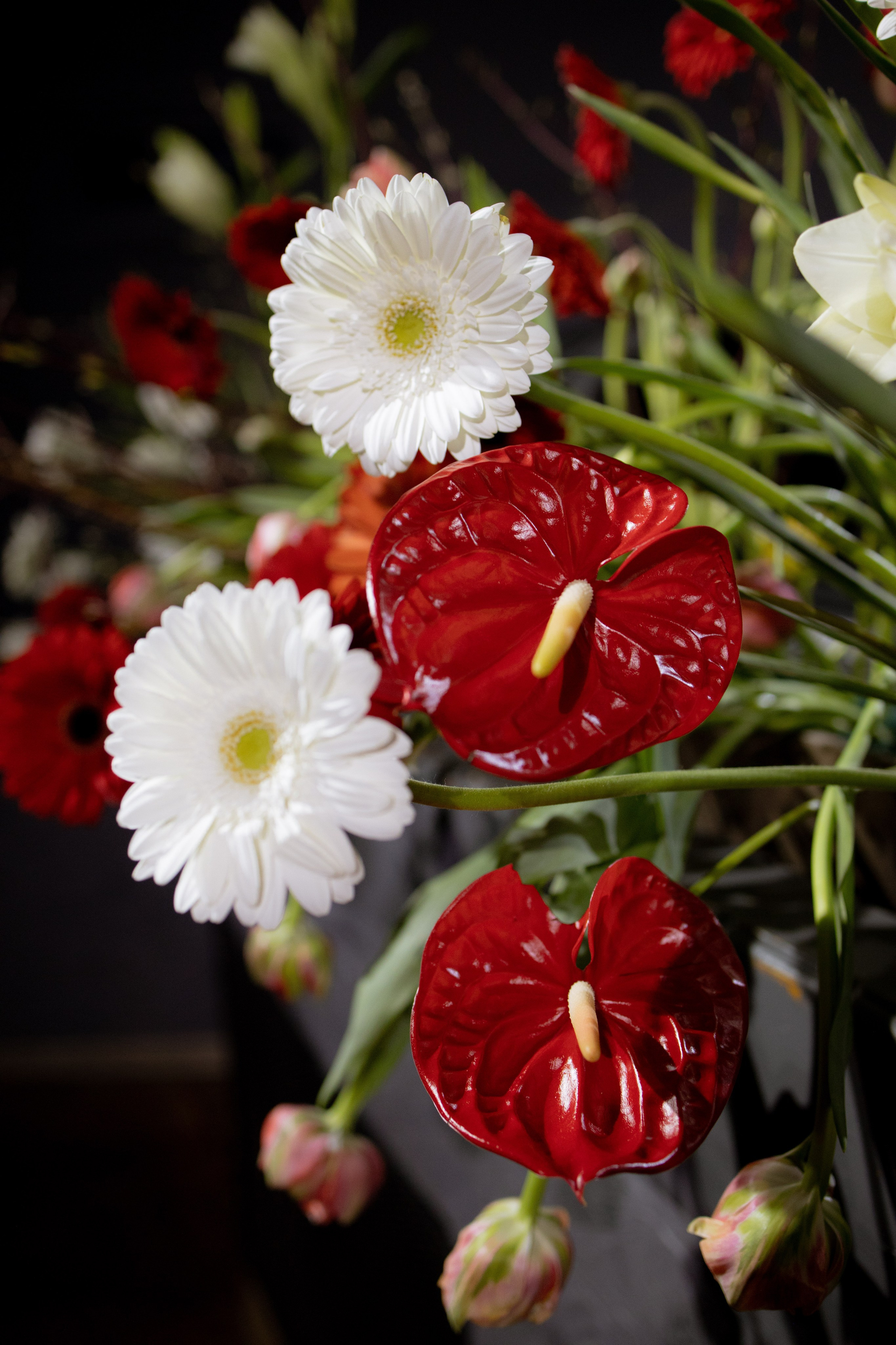 Оформление Отчетного концерта Музыкальной школы Глазунова. Оформление свадеб, декор свадеб Вера Маркова, Москва