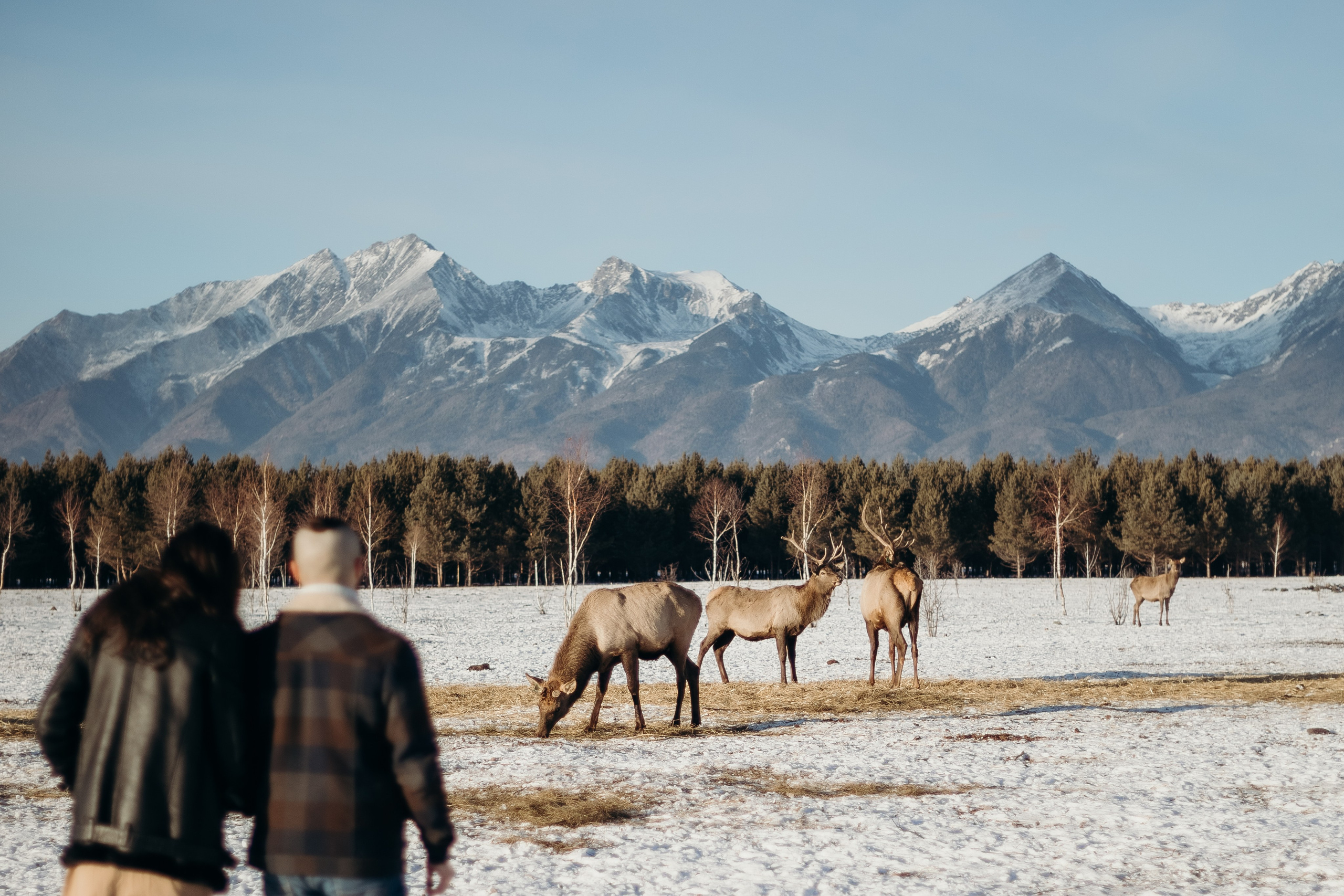 Павел и Анна. Фотограф Татьяна Ступина Иркутск