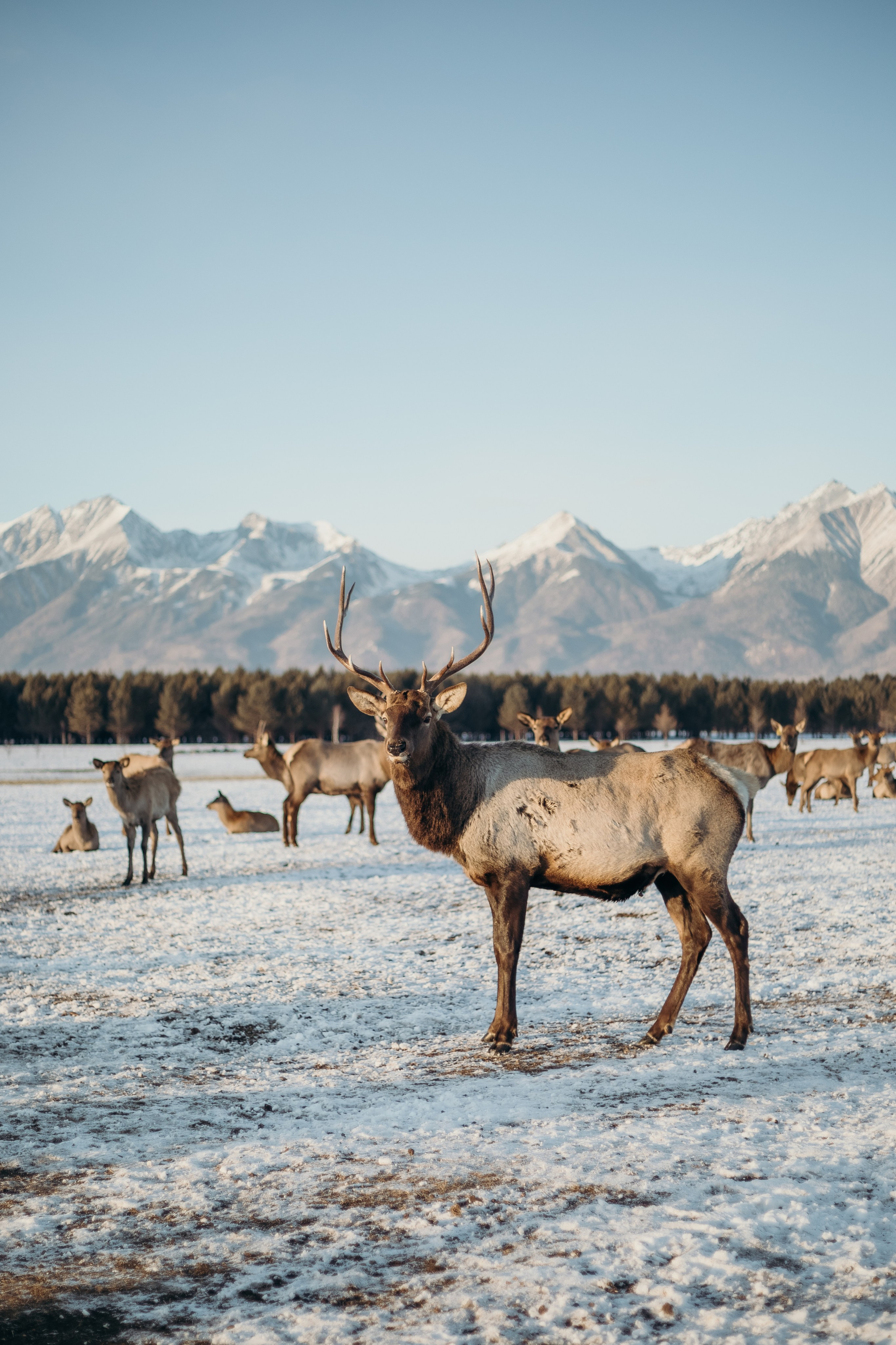 Павел и Анна. Фотограф Татьяна Ступина Иркутск