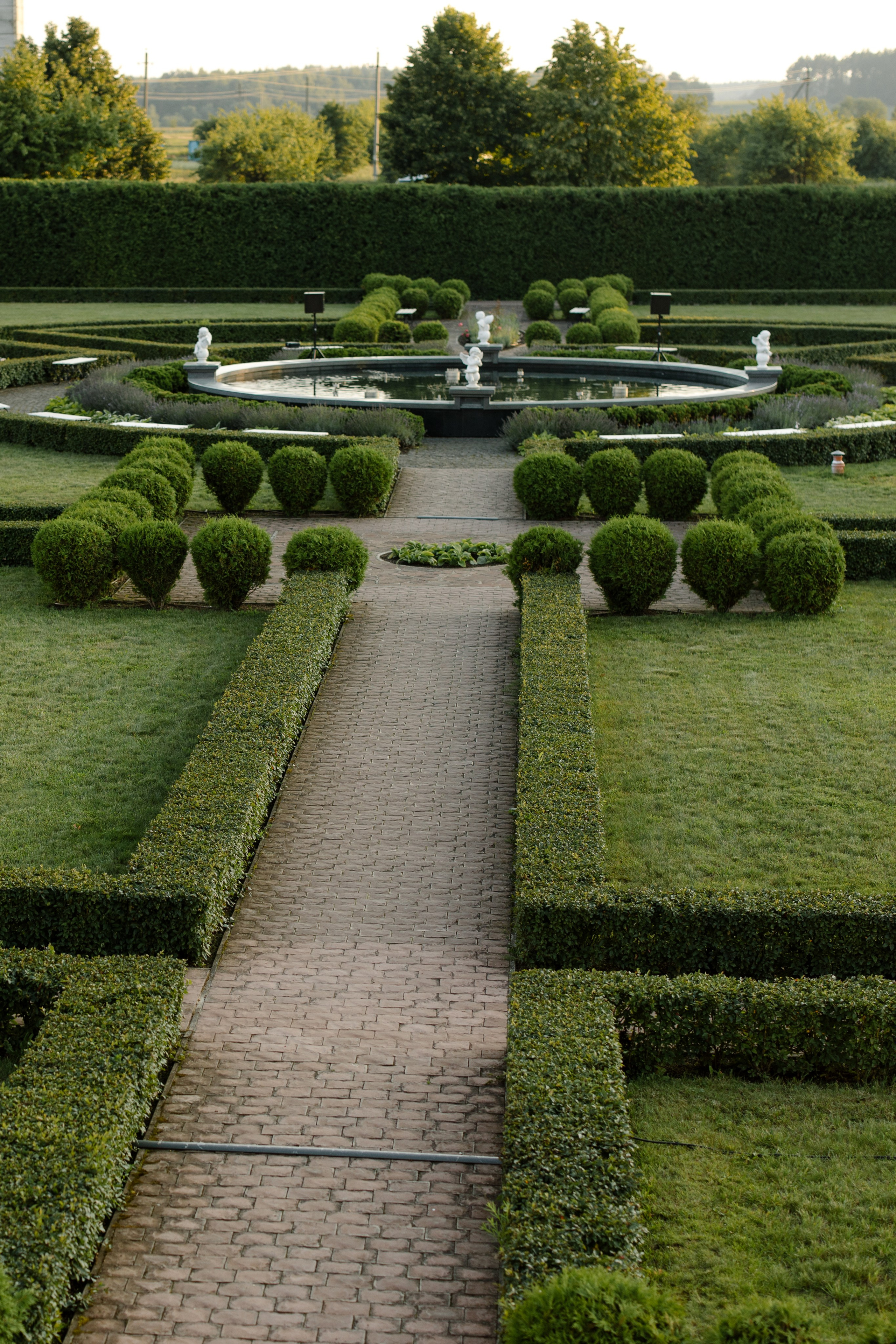 Рохит & Дарья. Организатор- Елена Гаманович. Главная