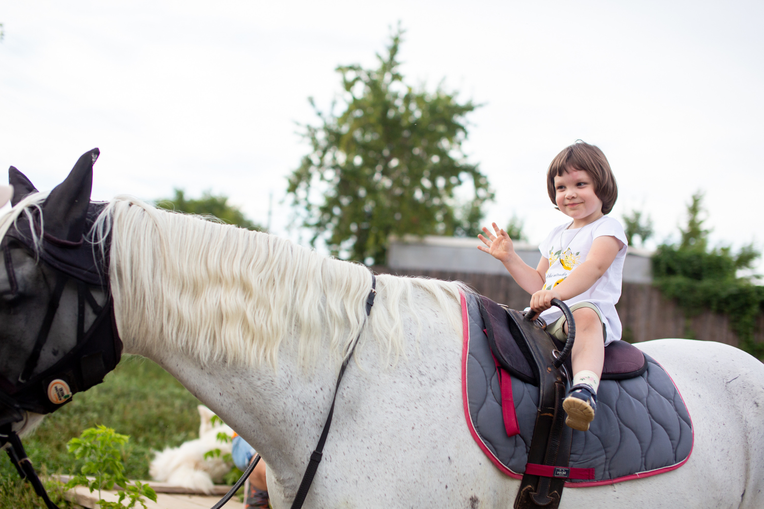 Верочка в конном клубе. Фотограф в Оренбурге. Профессиональный фотограф