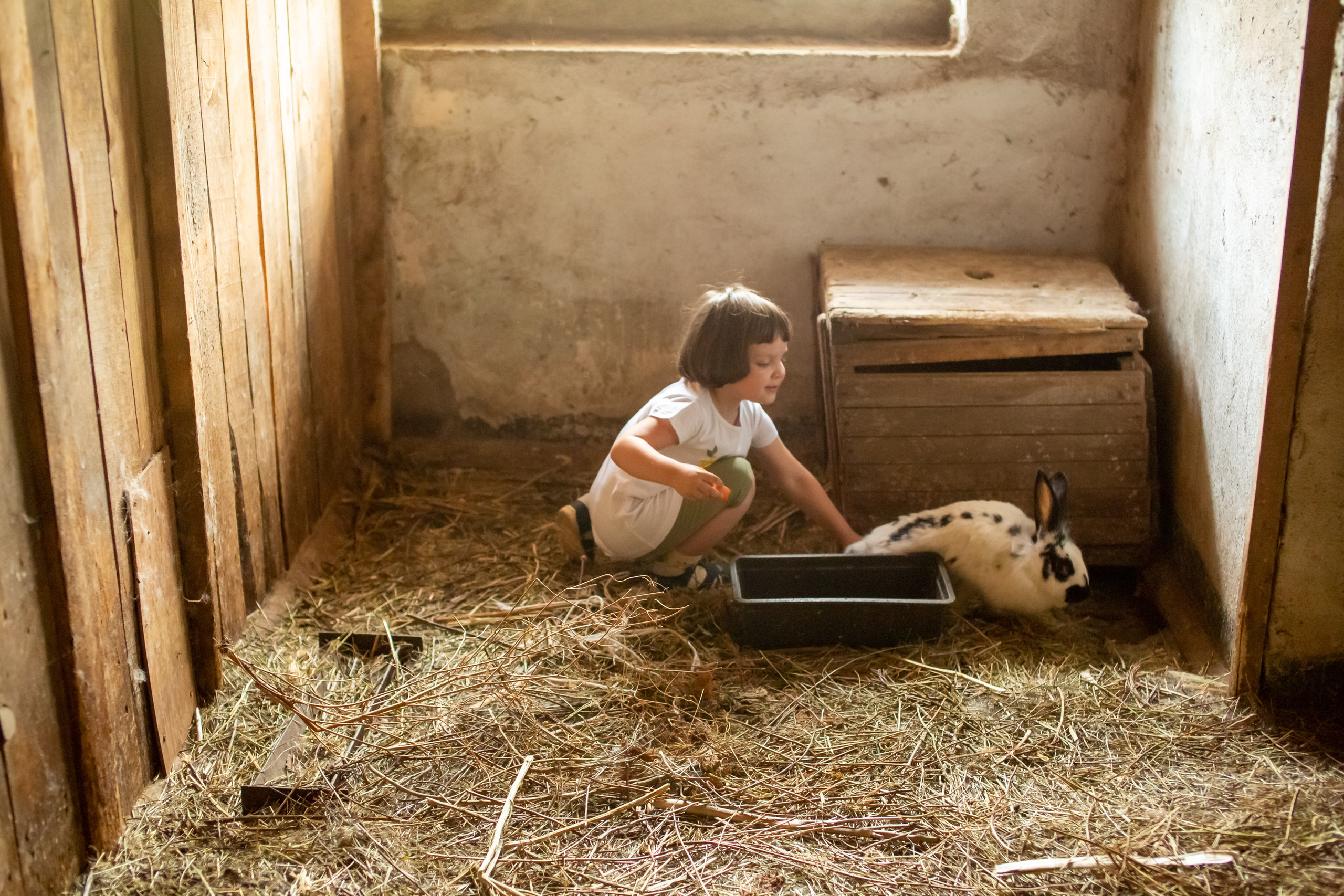 Верочка в конном клубе. Фотограф в Оренбурге. Профессиональный фотограф