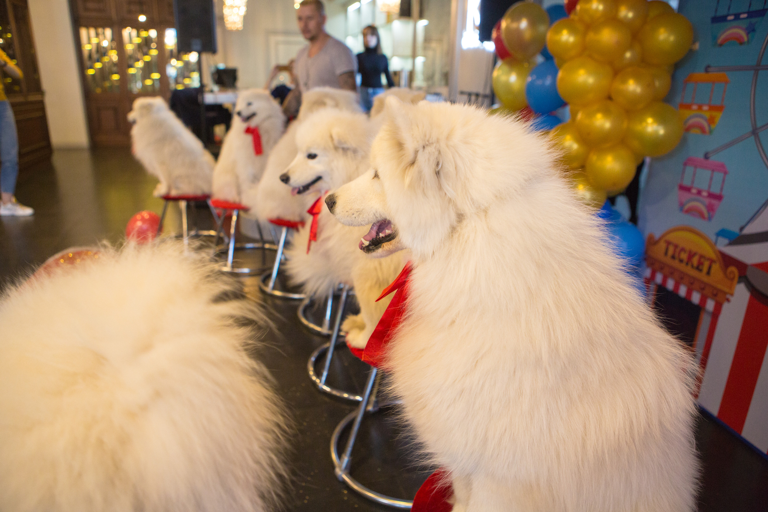 День Рождения Маруси. Фотограф в Оренбурге. Профессиональный фотограф