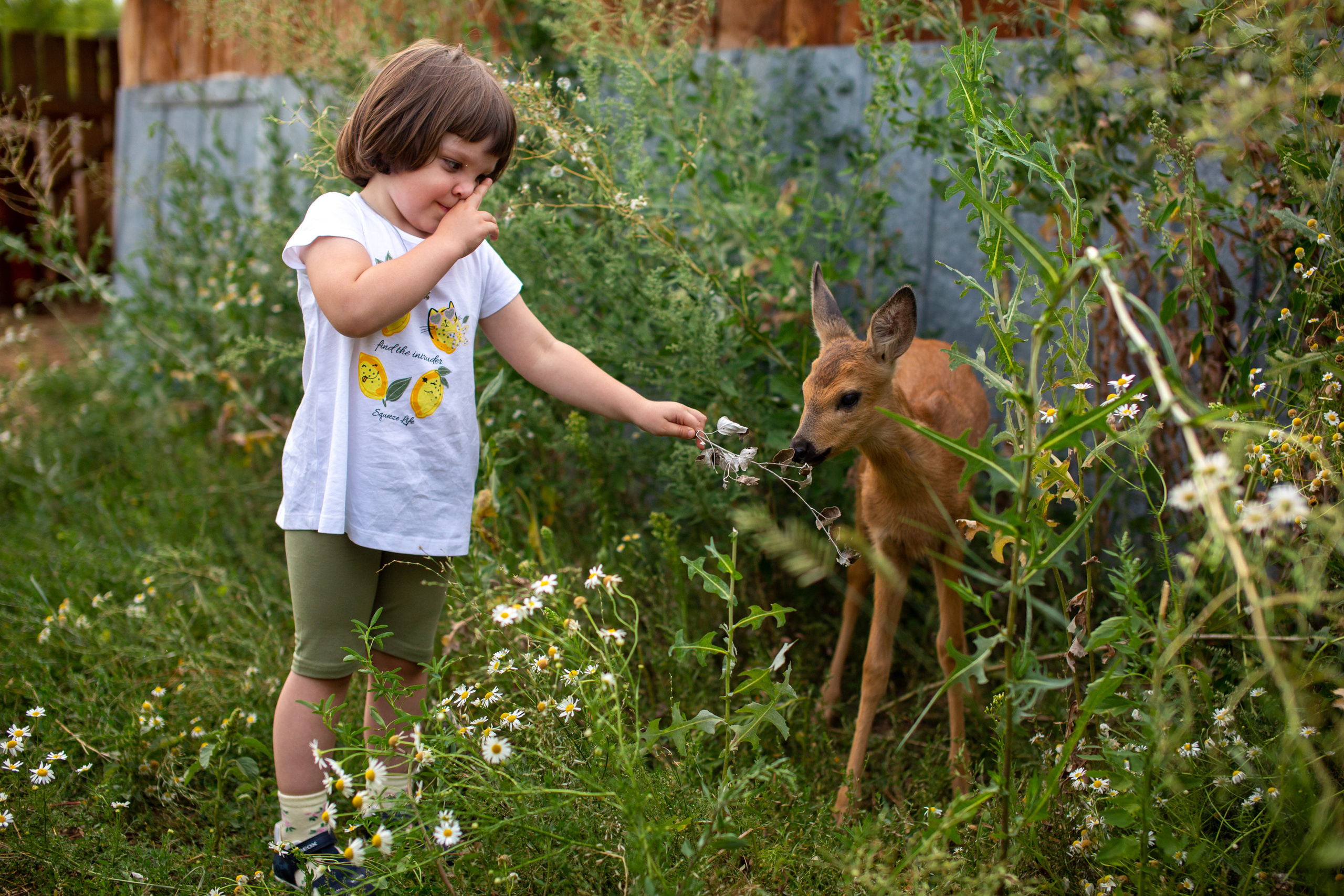 Верочка в конном клубе. Фотограф в Оренбурге. Профессиональный фотограф