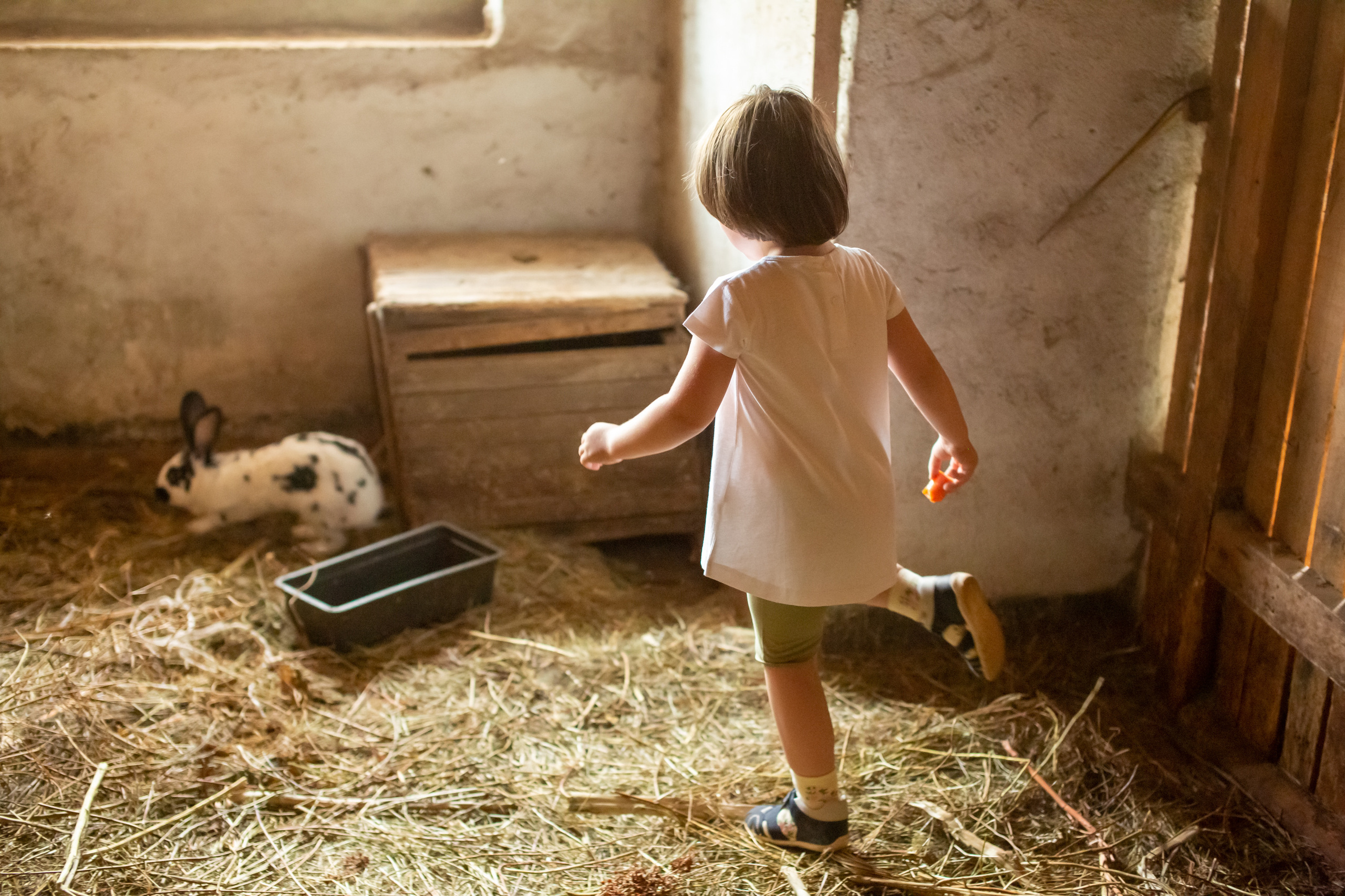Верочка в конном клубе. Фотограф в Оренбурге. Профессиональный фотограф