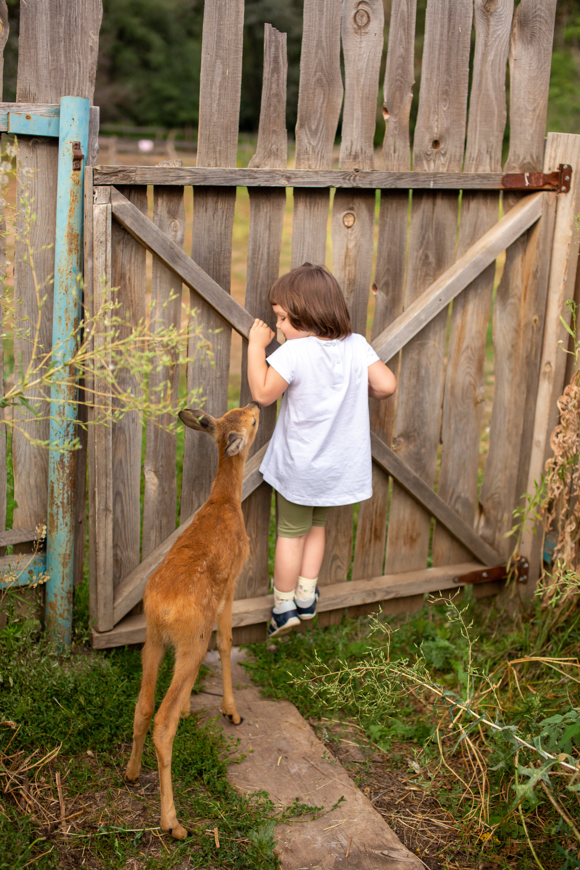 Верочка в конном клубе. Фотограф в Оренбурге. Профессиональный фотограф