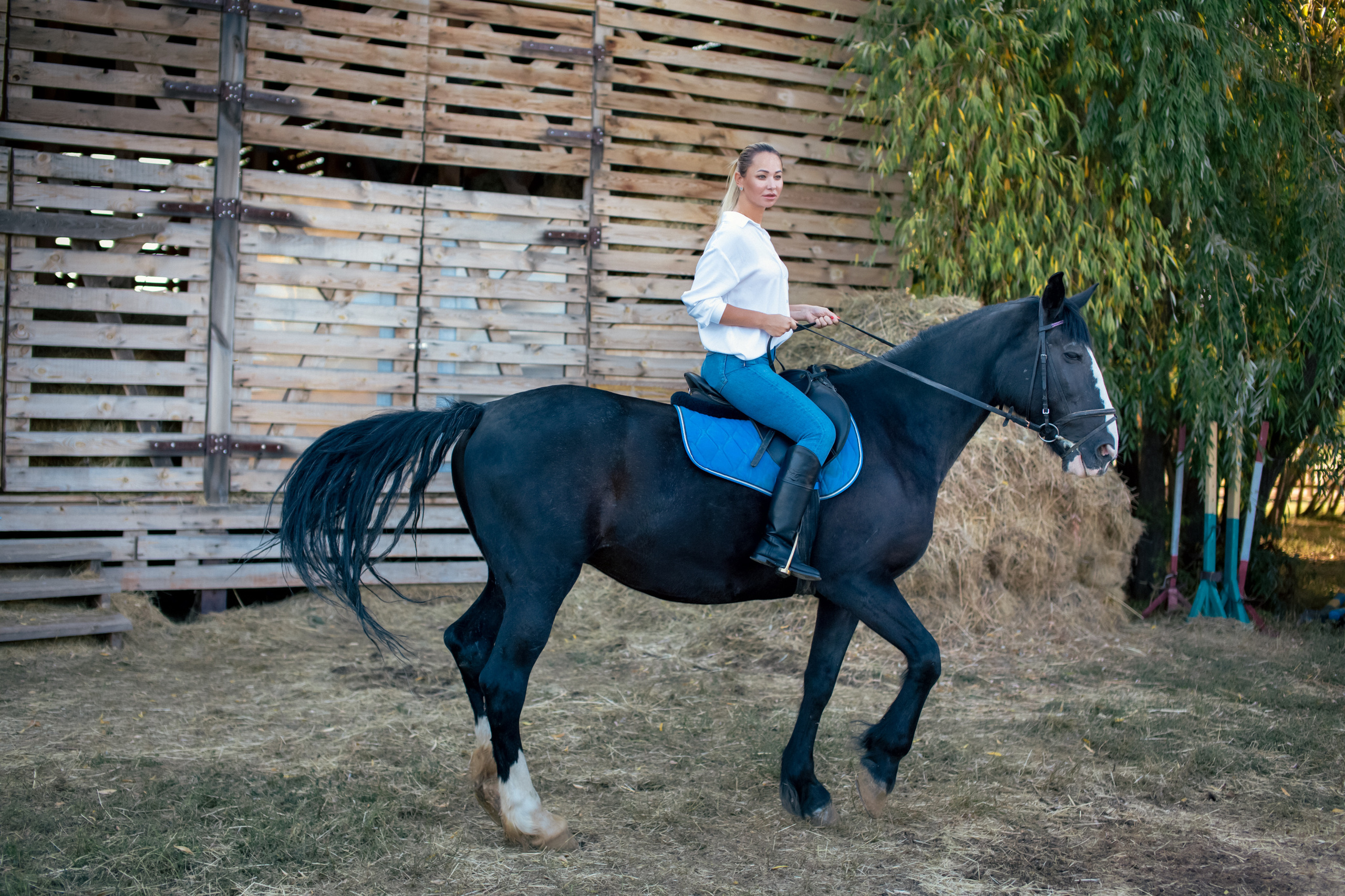 Фотосессия в конном клубе. Фотограф в Оренбурге. Профессиональный фотограф