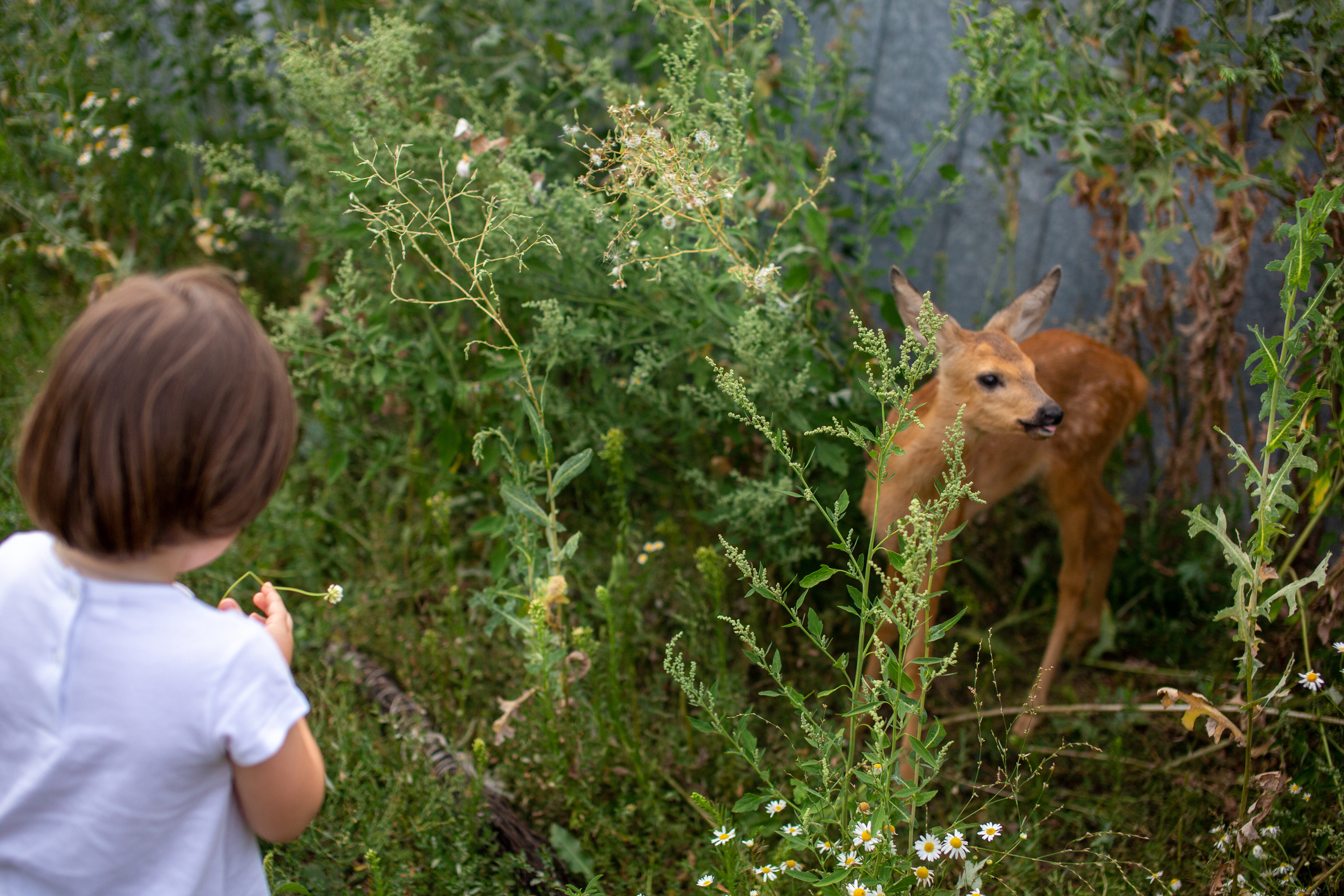 Верочка в конном клубе. Фотограф в Оренбурге. Профессиональный фотограф