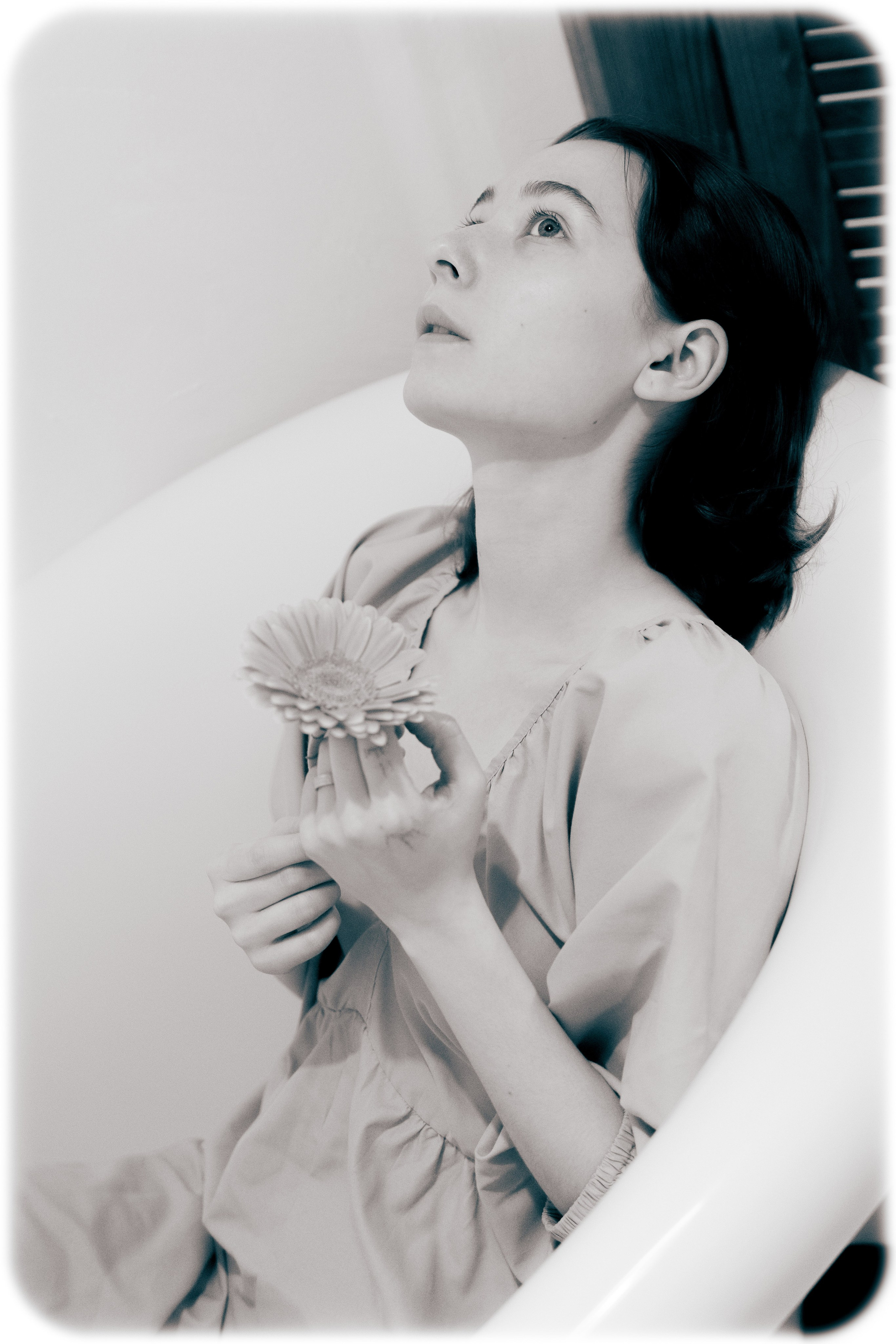 Шахматная комната. Плак или Квак