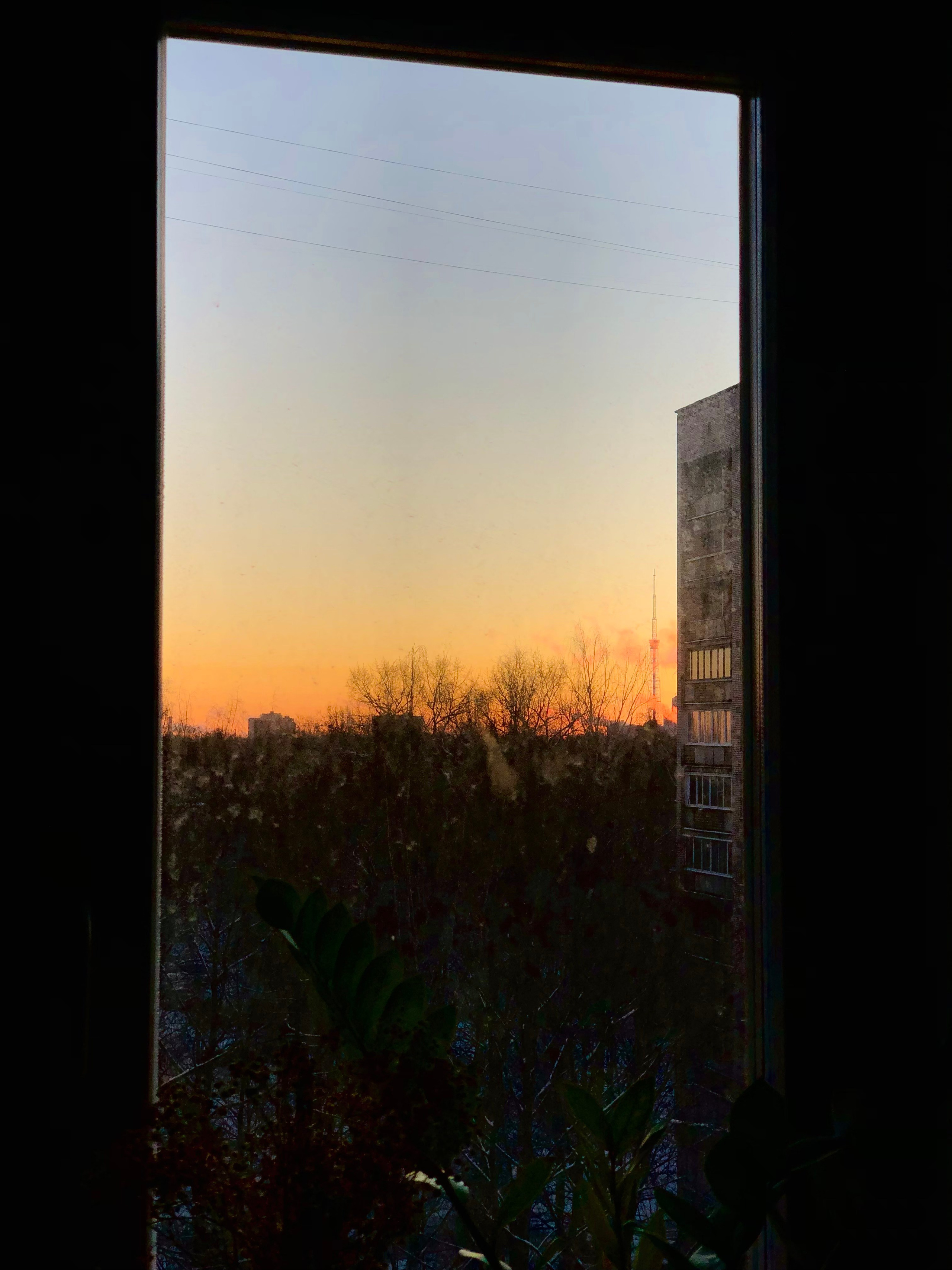 Январь. Семейный, Свадебный фотограф СПБ Питер— Романова Екатерина