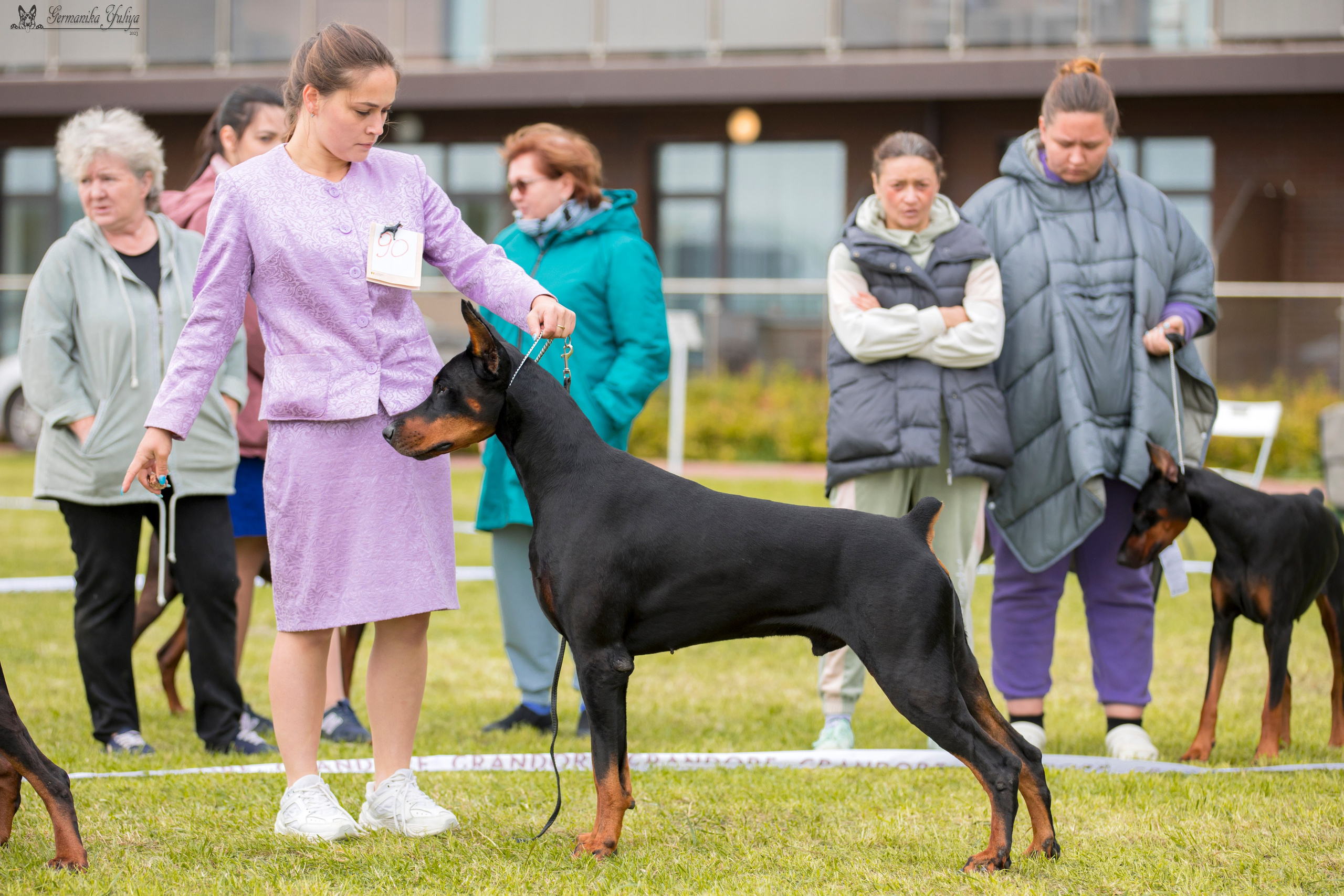 Переславль 9-10.09.2023. Фотограф-анималист Юлия Германика