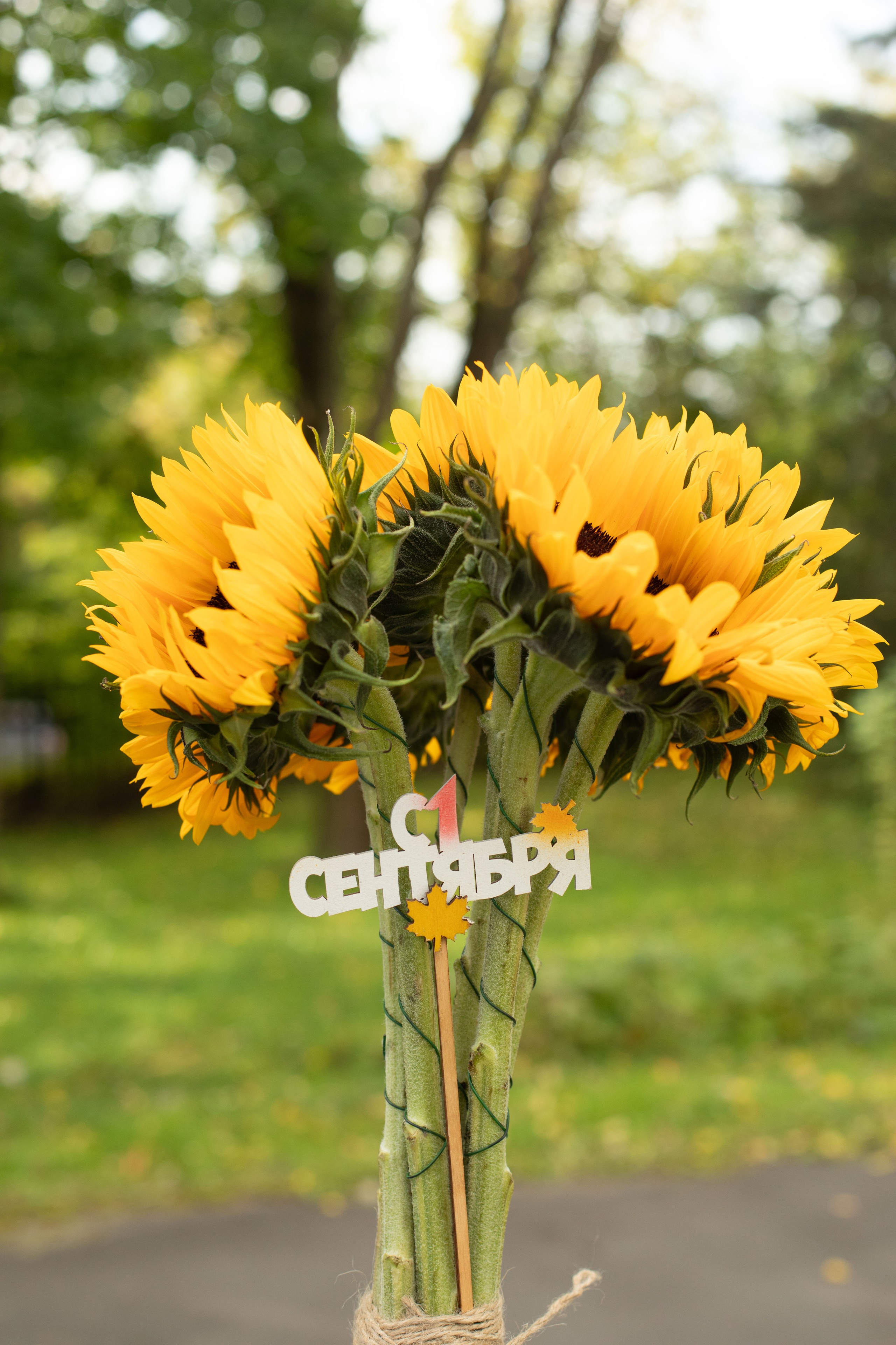 ШКОЛЬНАЯ СЪЕМКА 1 СЕНТЯБРЯ. ФОТОГРАФ