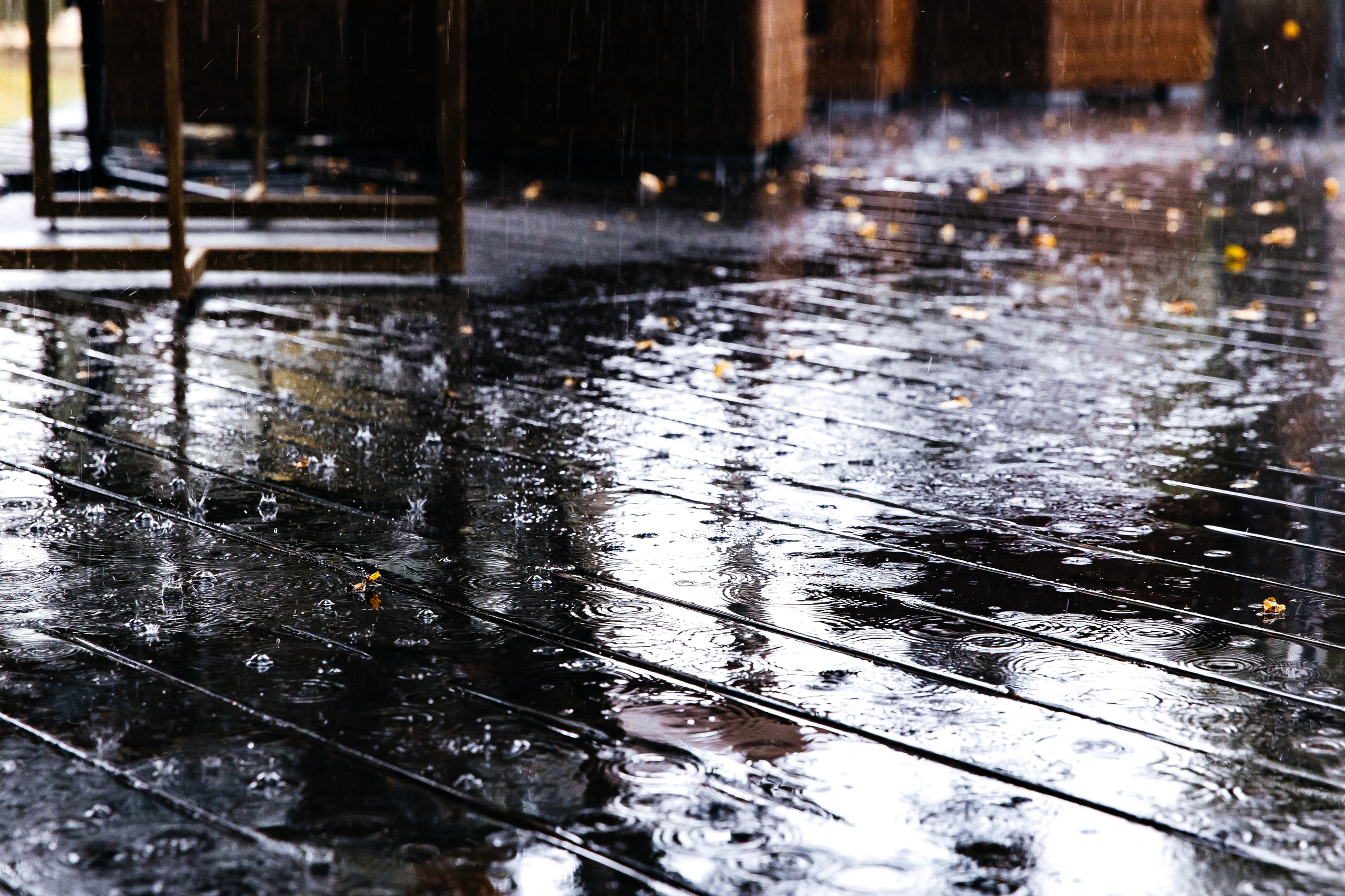 Sergey & Katya. Свадебный фотограф в Москве Виктория Арехова