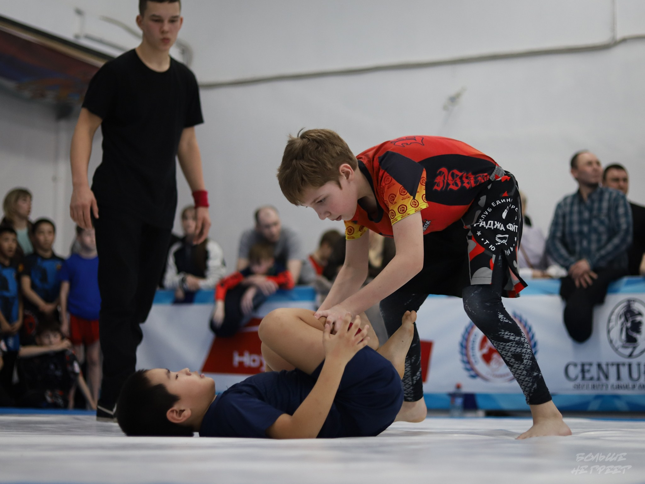 GORILLA PRIDE CUP. Больше не греет