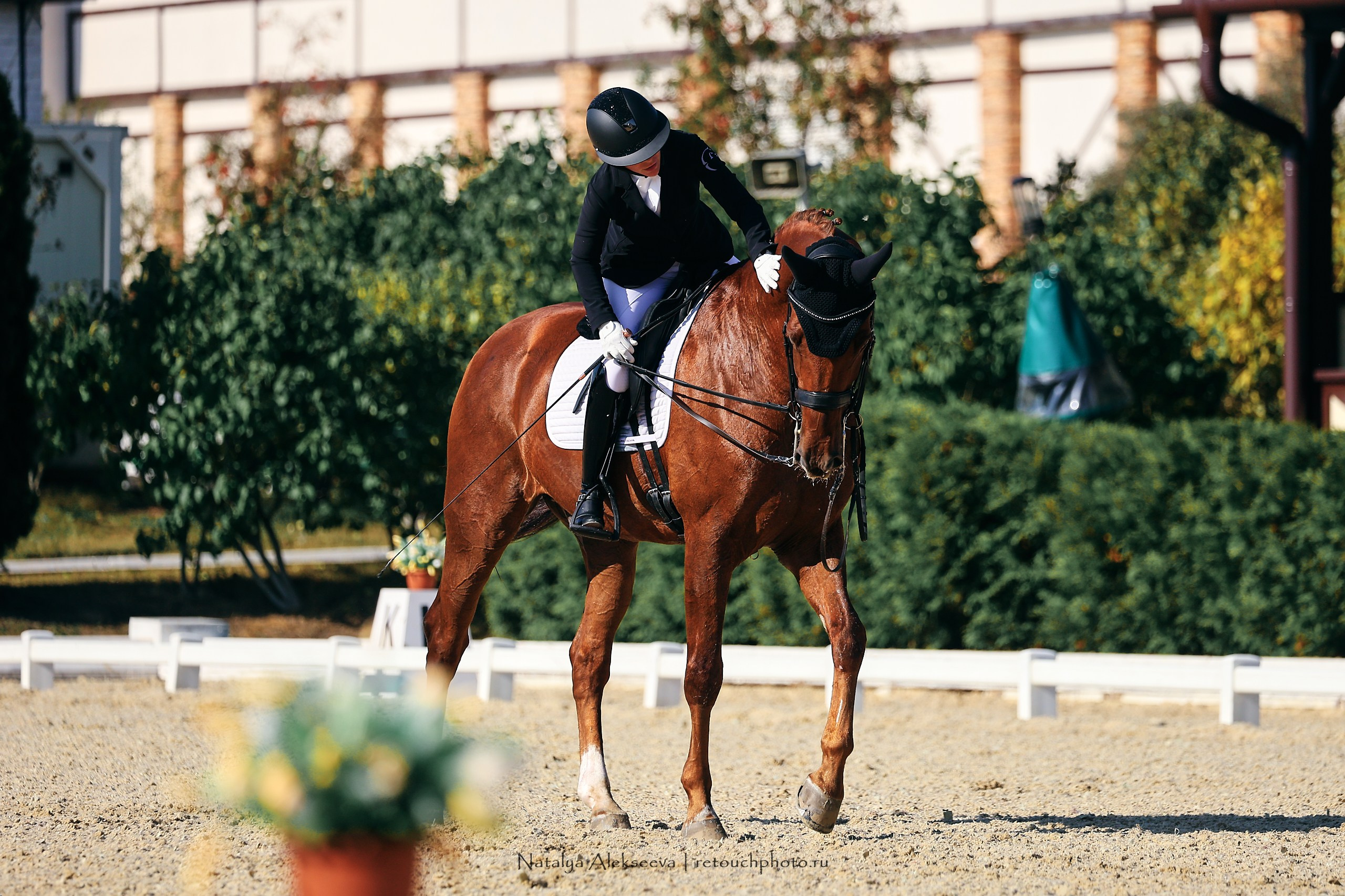 2023.09.22-24 Чемпионат MM Eurasia по средним ездам, Maxima Stables | 09'2023. Репортажный фотограф и ретушер в Москве Наталья Алексеева