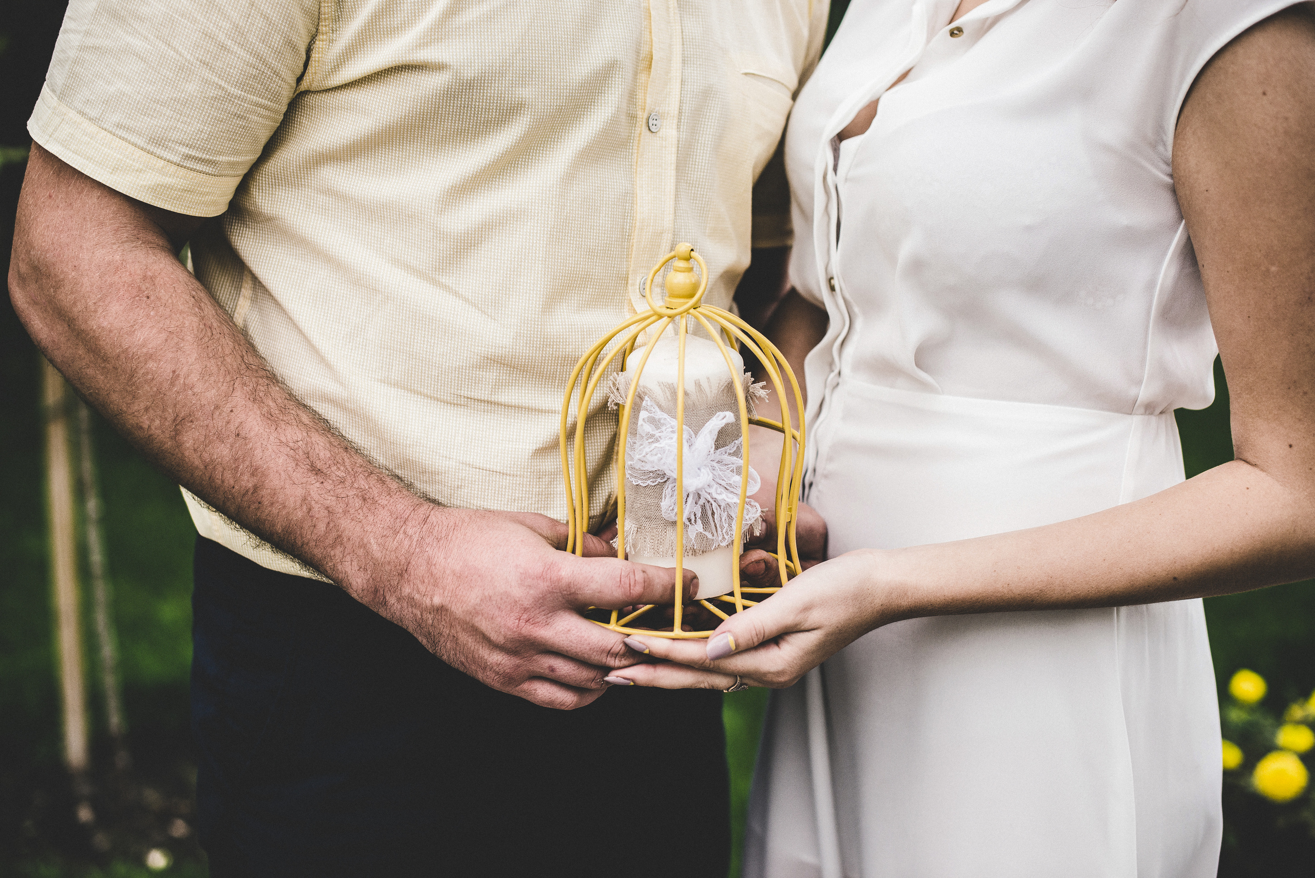 Сказочный сад. Визуальный художник «Границы внутри»