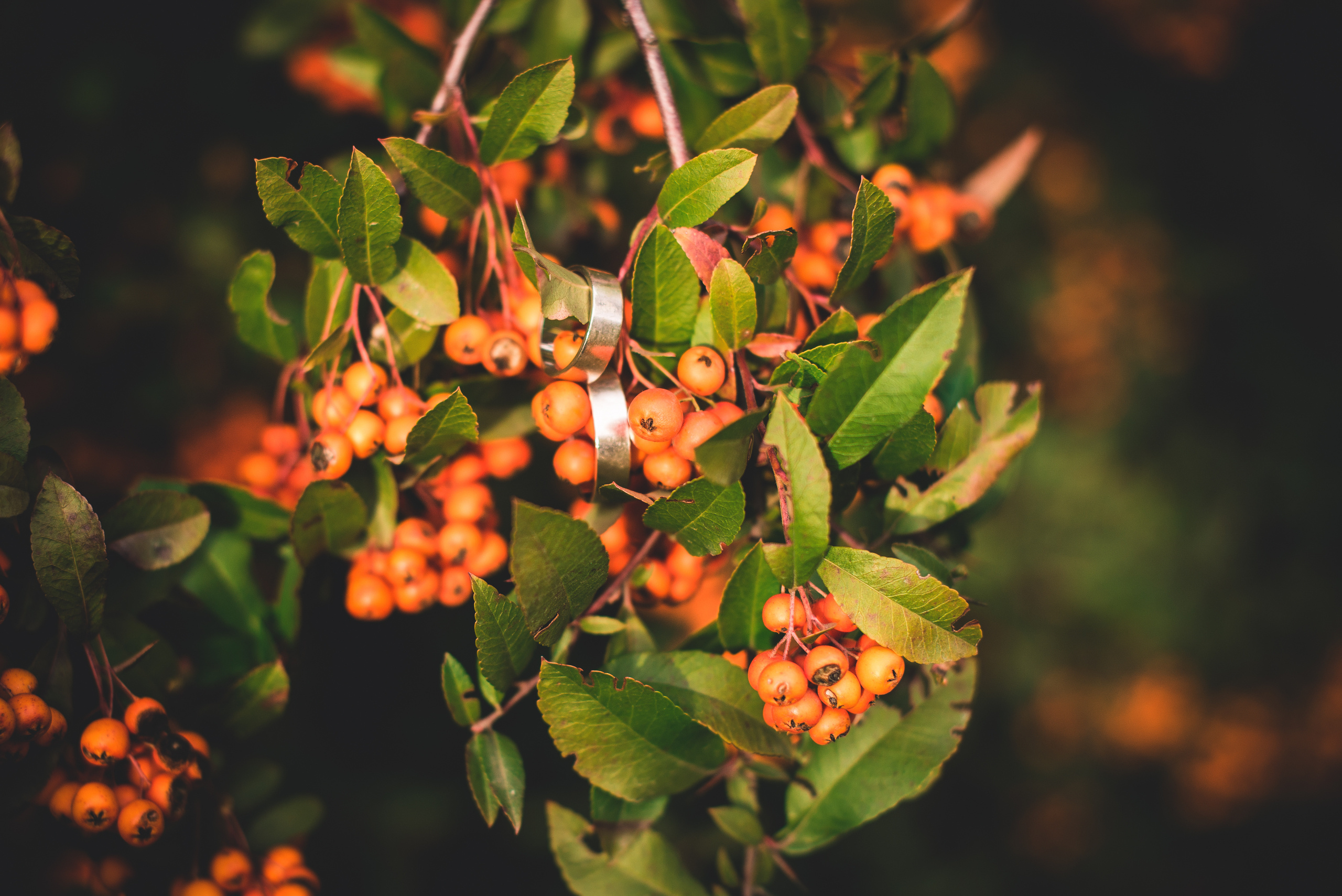 Осенний чай. Визуальный художник «Границы внутри»
