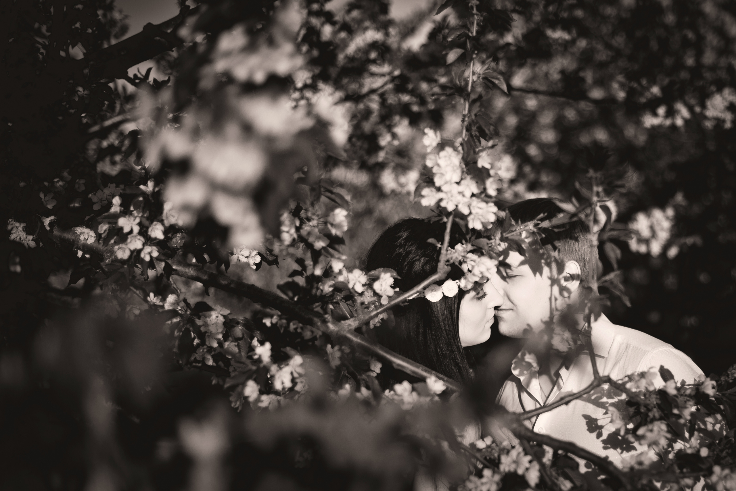 Моя черешня. Визуальный художник «Границы внутри»