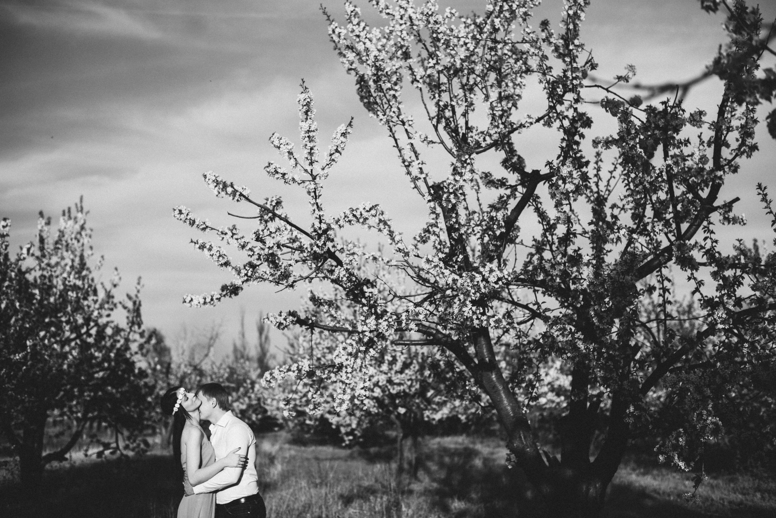 Моя черешня. Визуальный художник «Границы внутри»