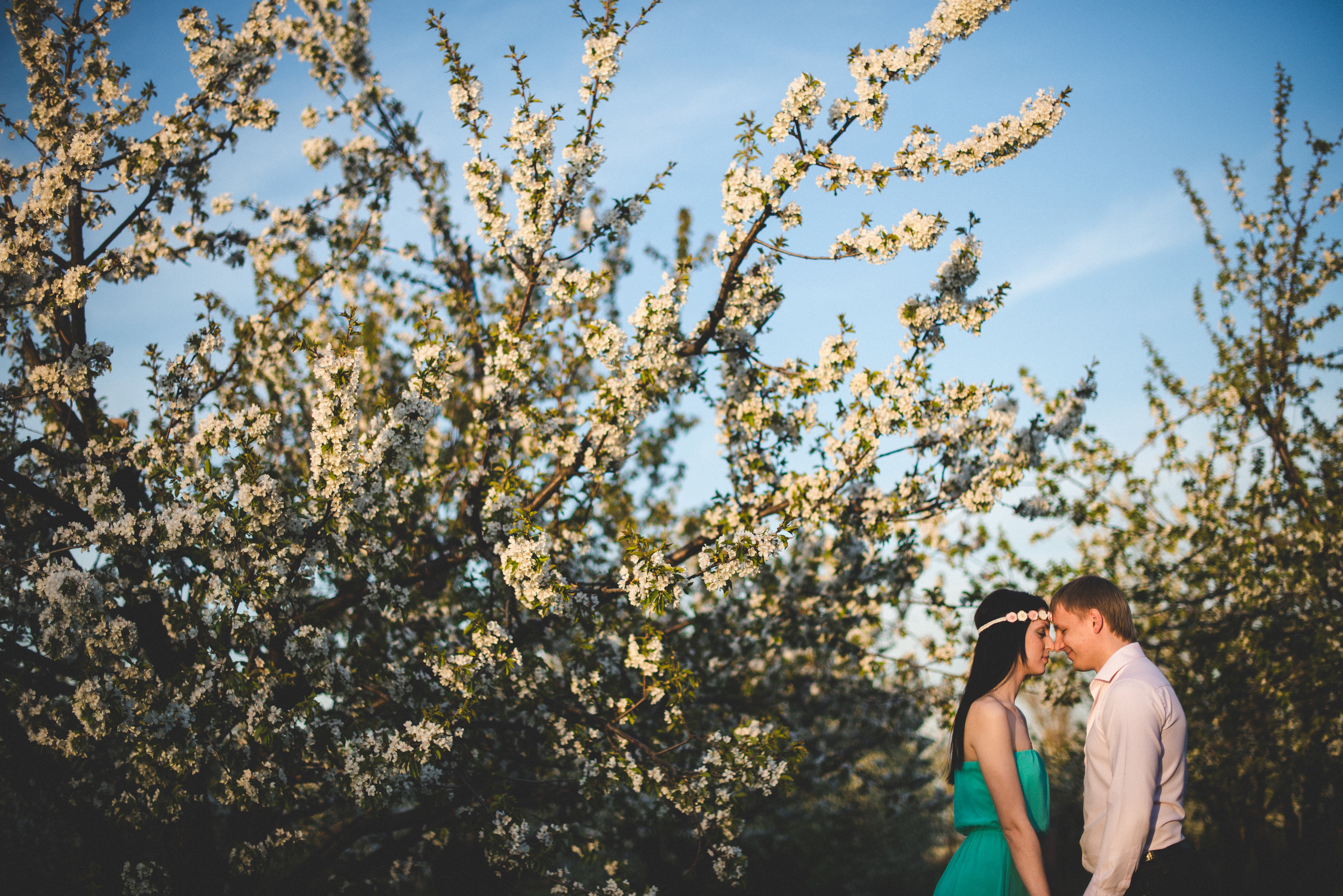 Моя черешня. Визуальный художник «Границы внутри»