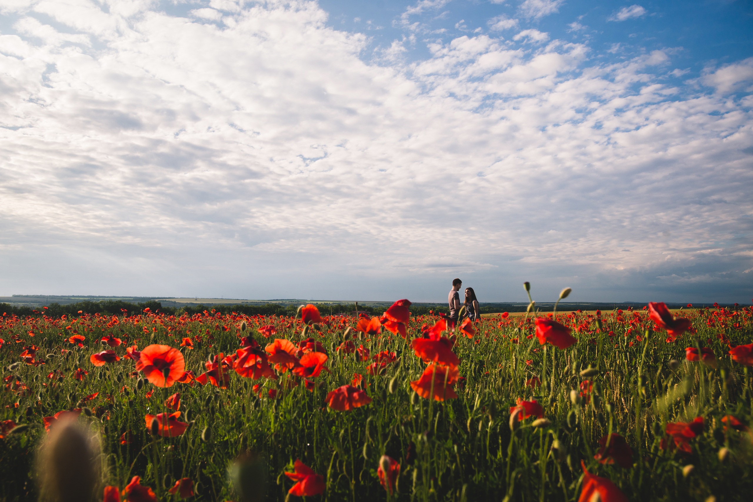 Маклав. Визуальный художник «Границы внутри»