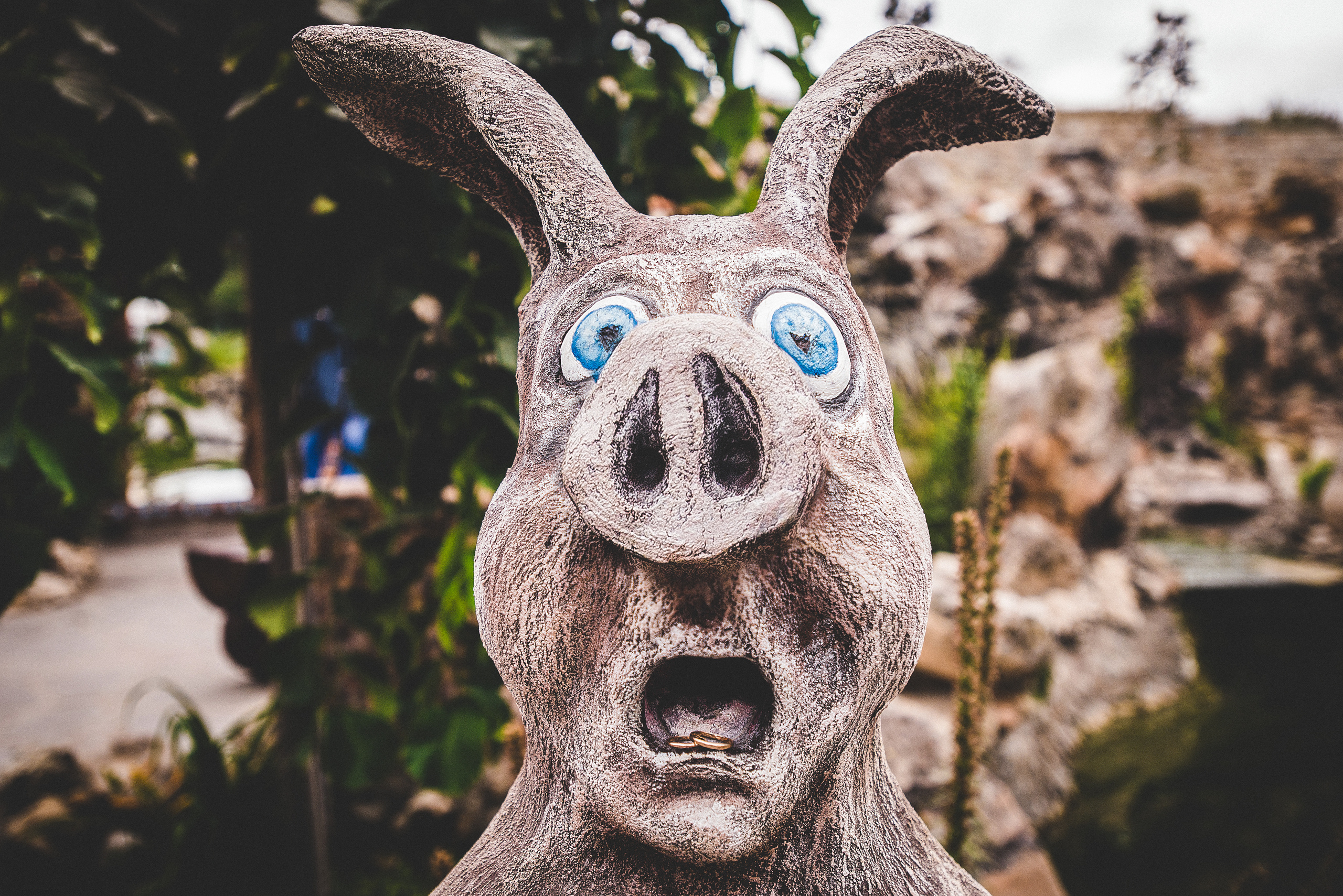 Сказочный сад. Визуальный художник «Границы внутри»