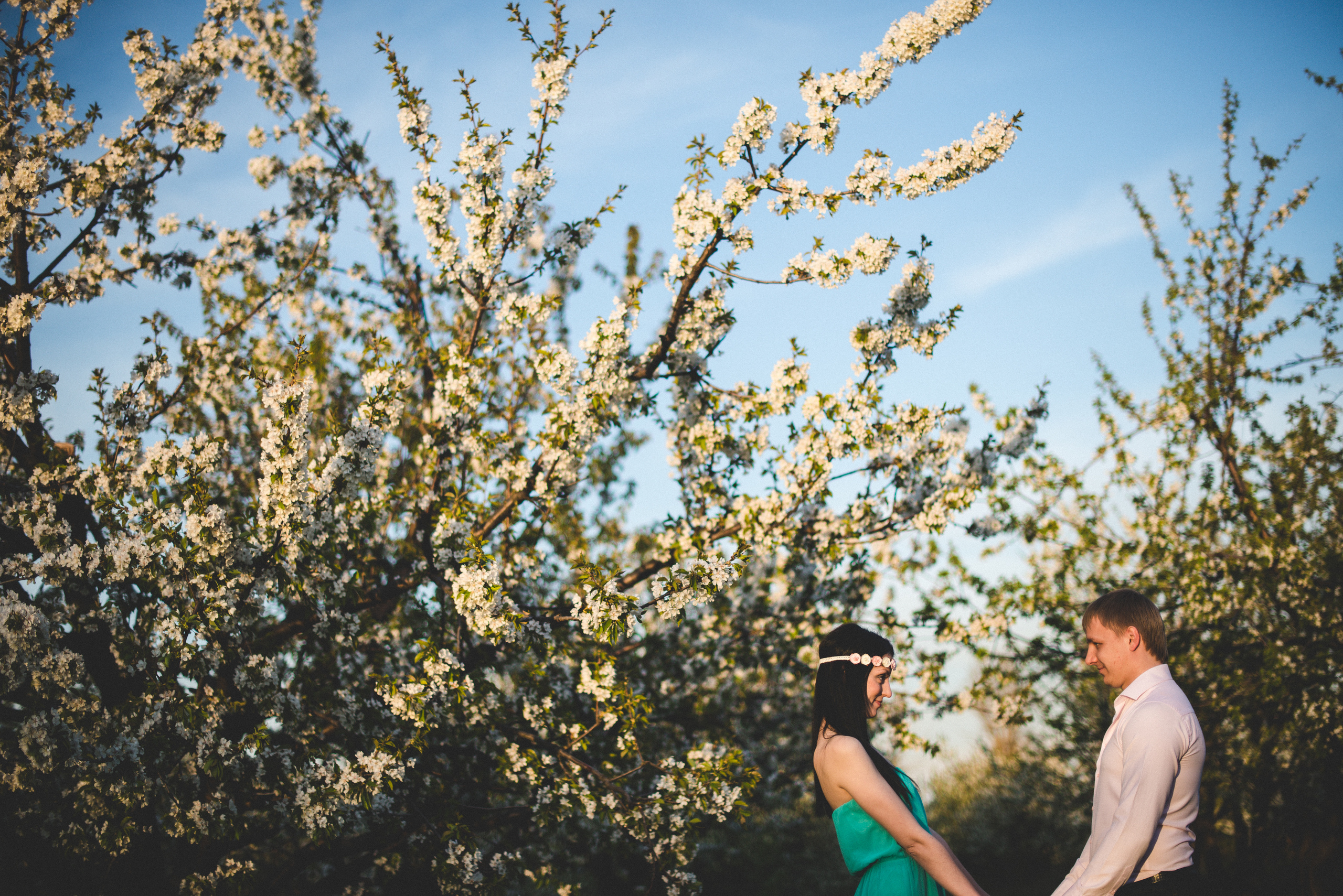 Моя черешня. Визуальный художник «Границы внутри»