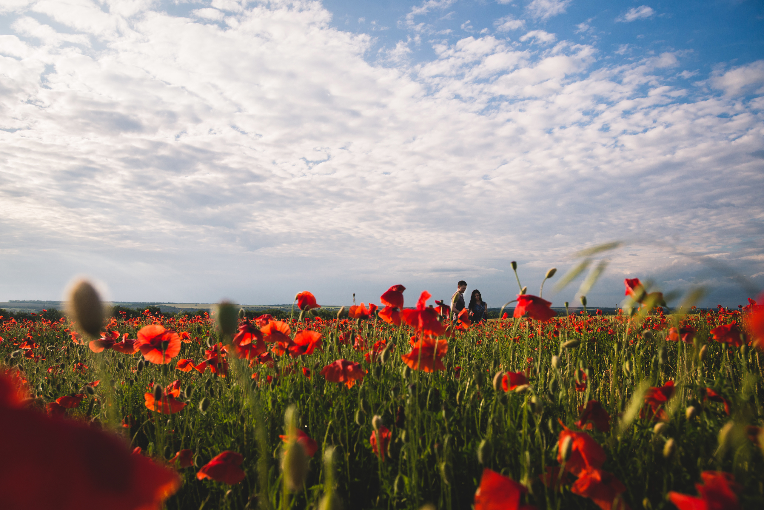 Маклав. Визуальный художник «Границы внутри»