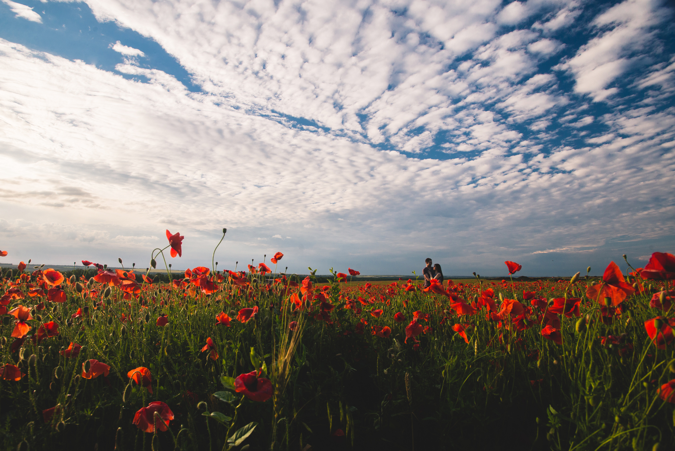 Маклав. Визуальный художник «Границы внутри»