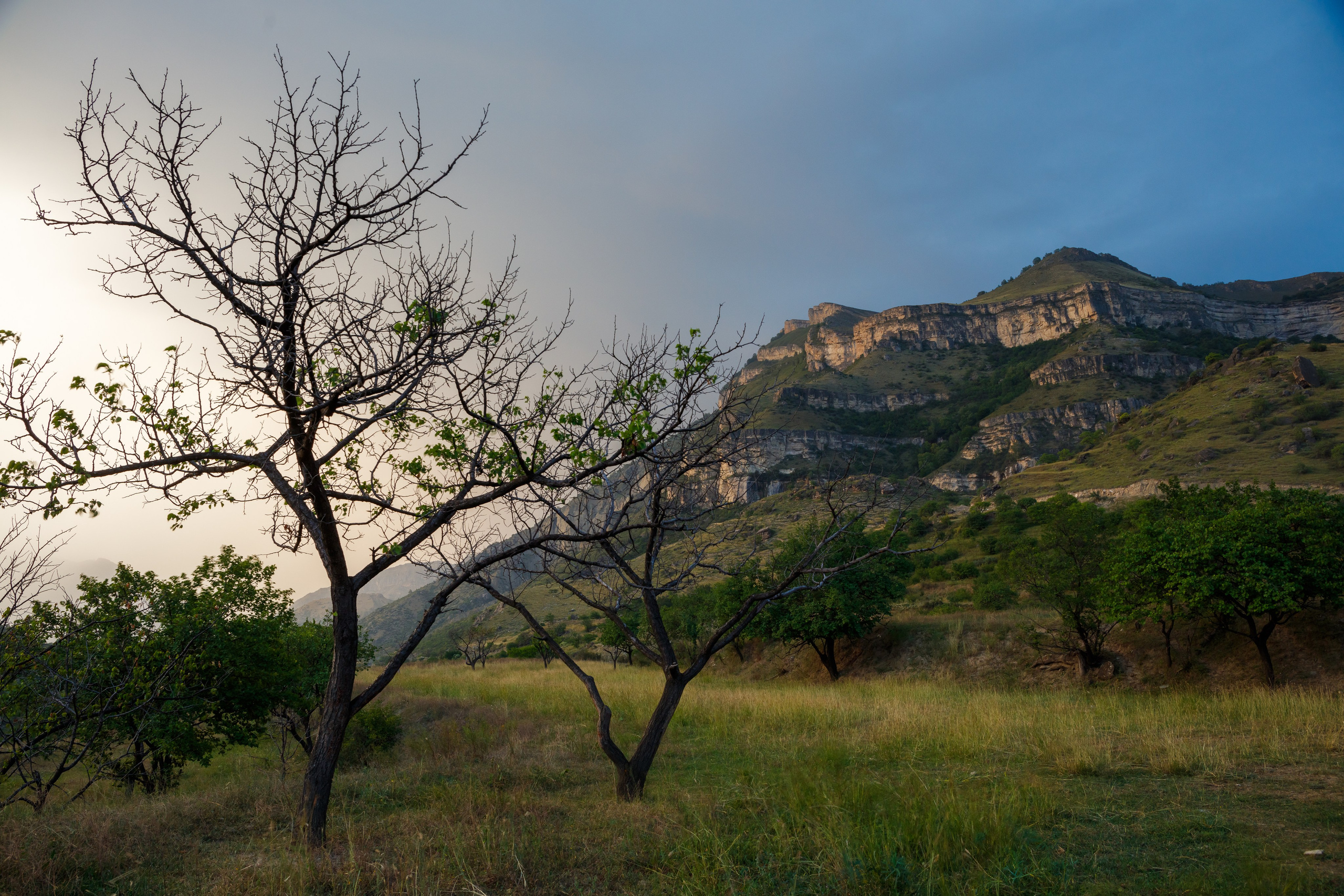 Творчество. Профессиональный фотограф Амир Закиров