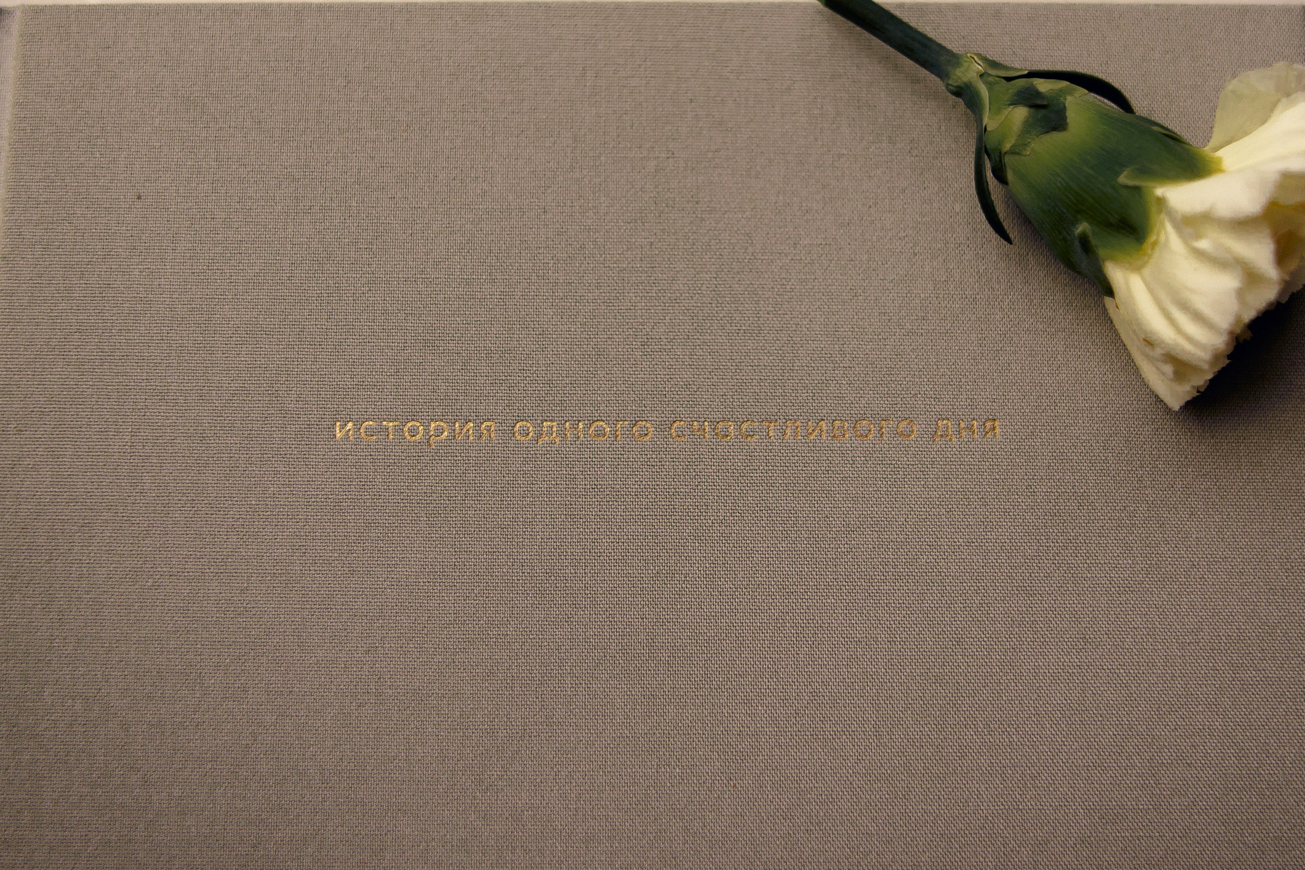 Свадебное портфолио. Свадебный фотограф в Санкт-Петербурге Настасья Север