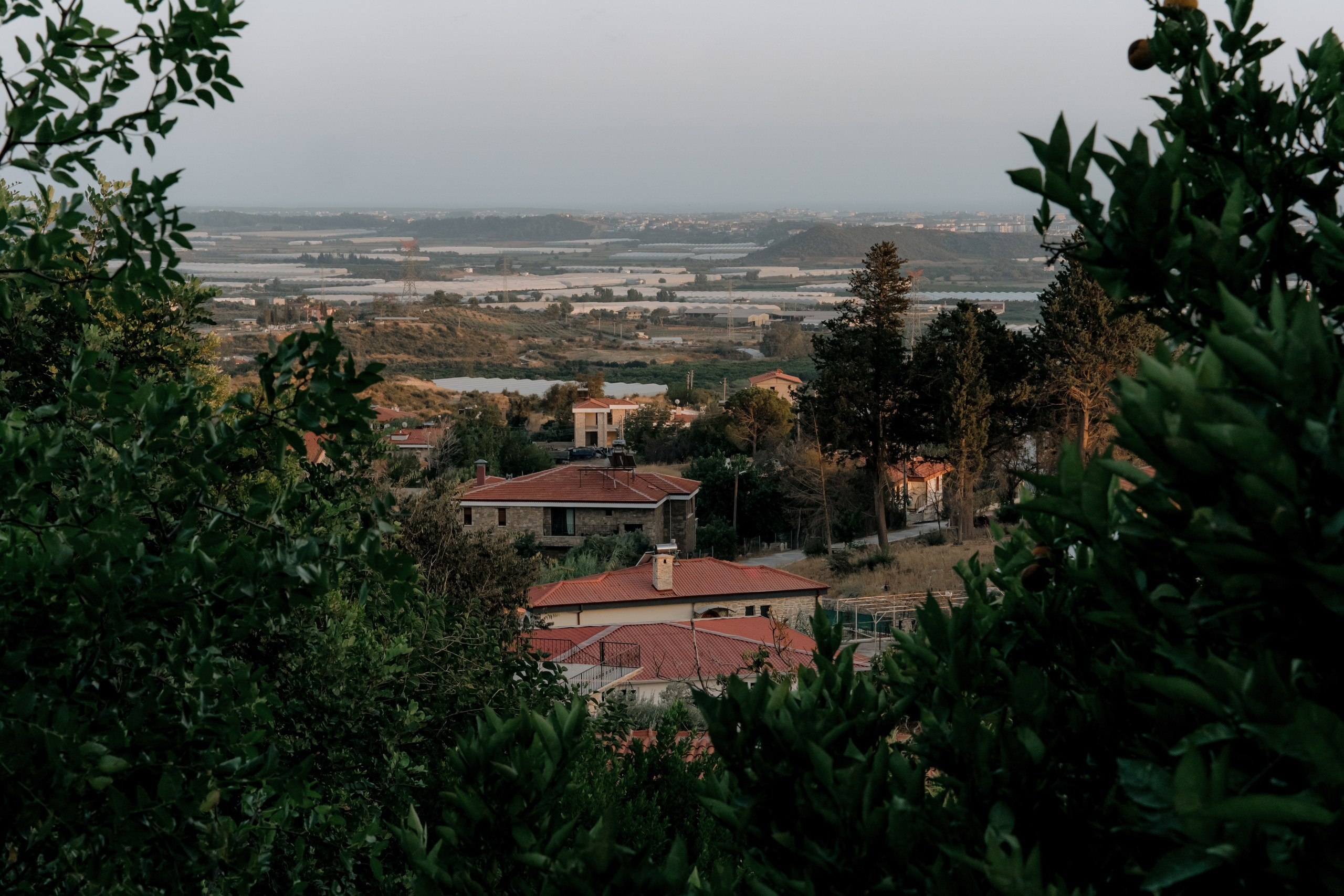 Where tulips meet birch trees. Wedding & Documentary Photographer based in Nuremberg — available across Europe & Turkey | Vitalii Nasonov