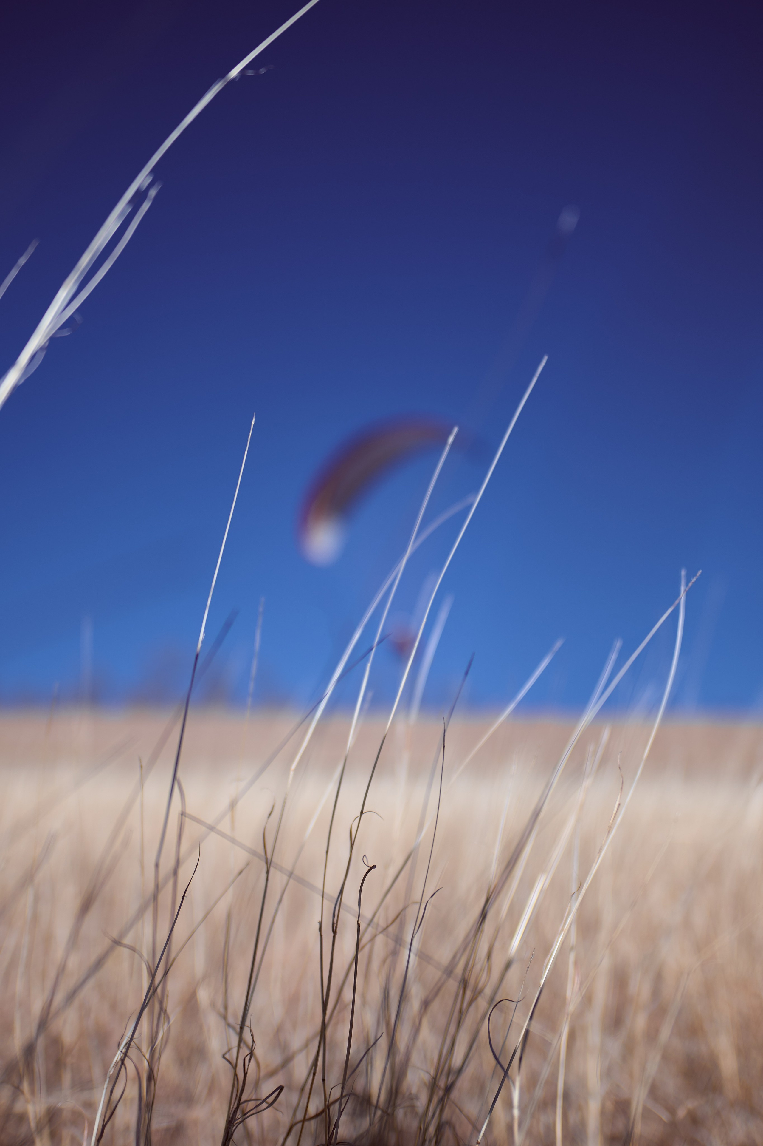Параплан, Армавир. Репортажный фотограф в Краснодаре, Иван Ванюшенков
