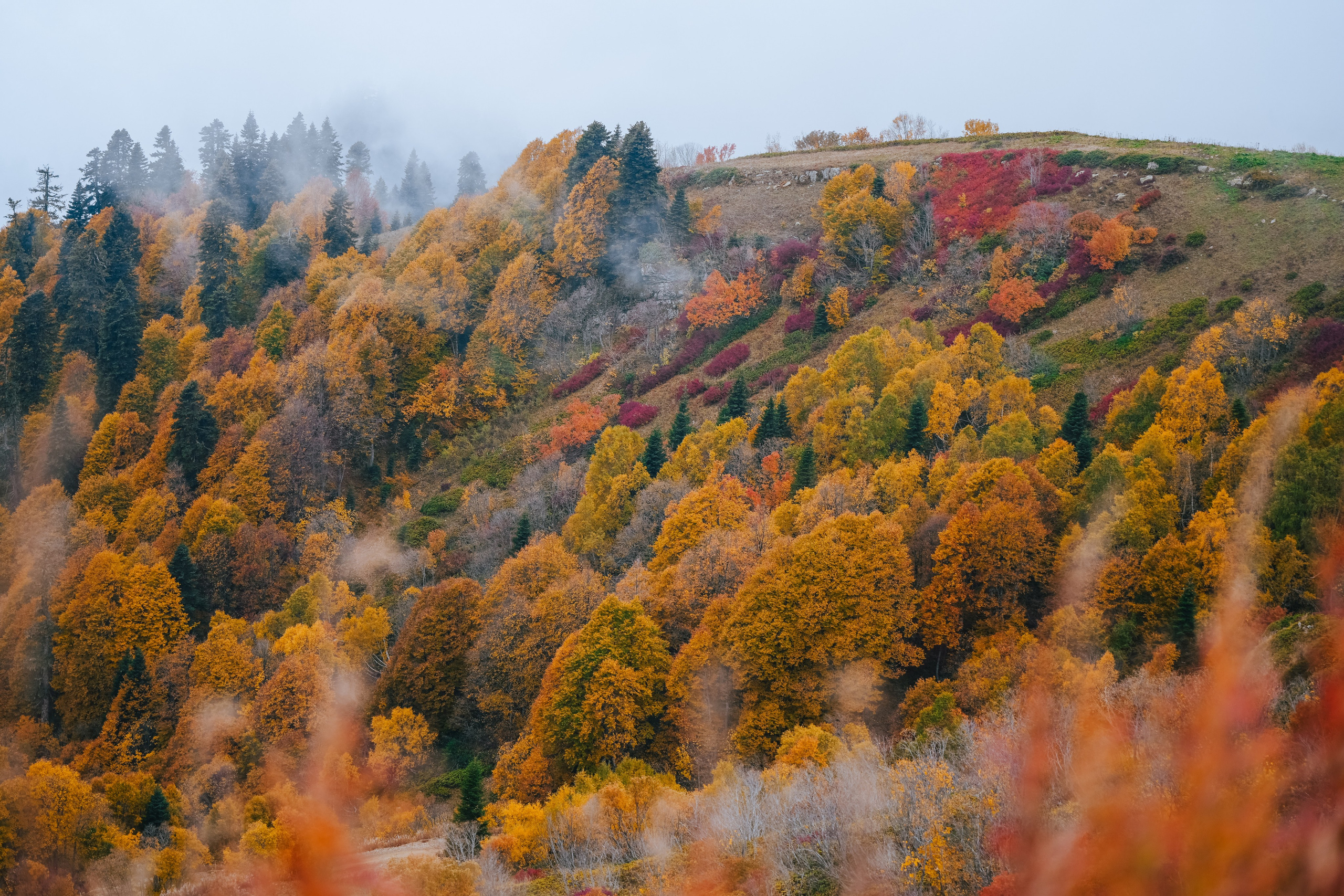 Роза Пик, тропа Турья ✽ Октябрь. Репортажный фотограф | Роза Хутор Красная Поляна Сочи Сириус