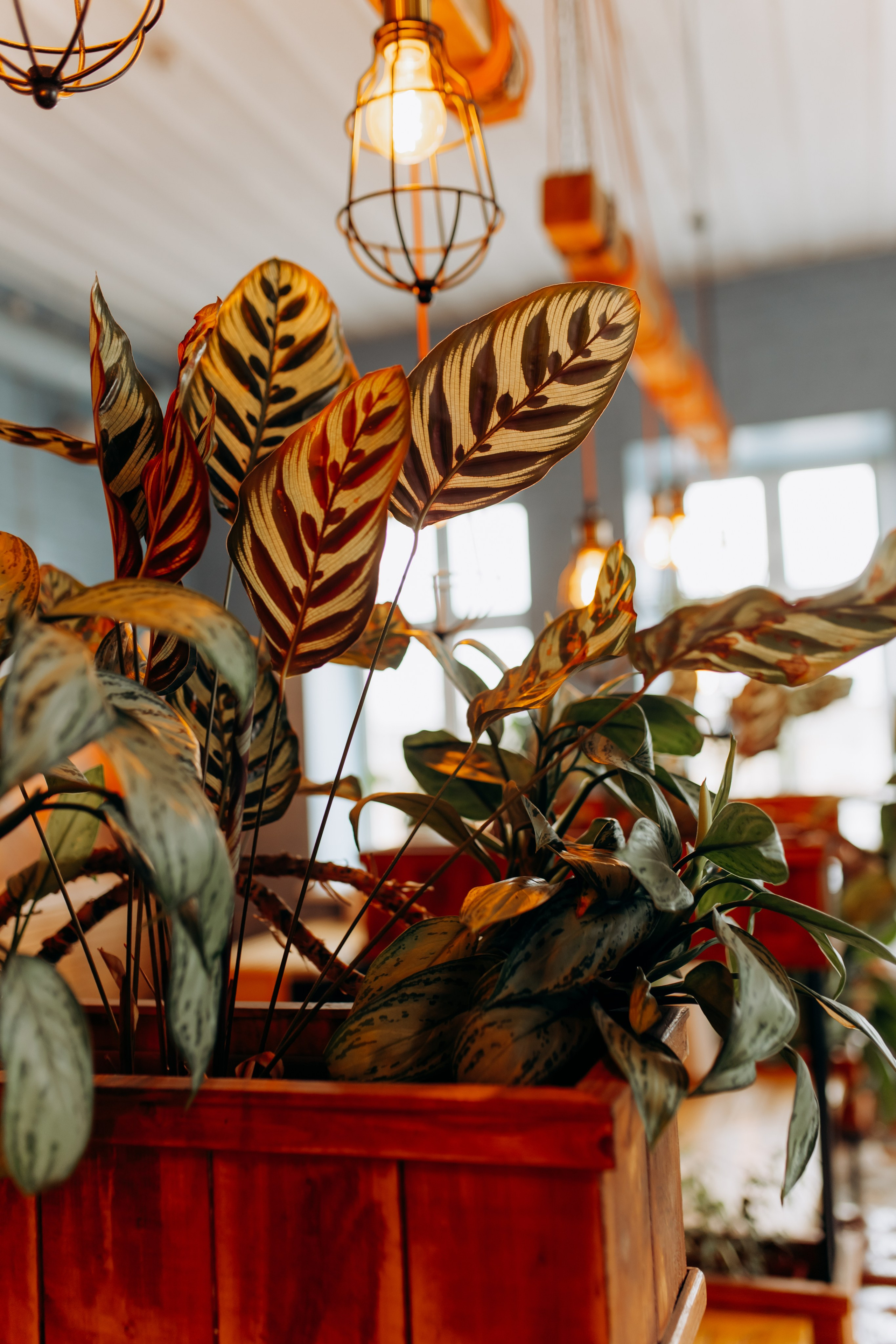 По бургеру в «Карл Маркс». Свадебный и семейный фотограф в Туле и области Маша Костина