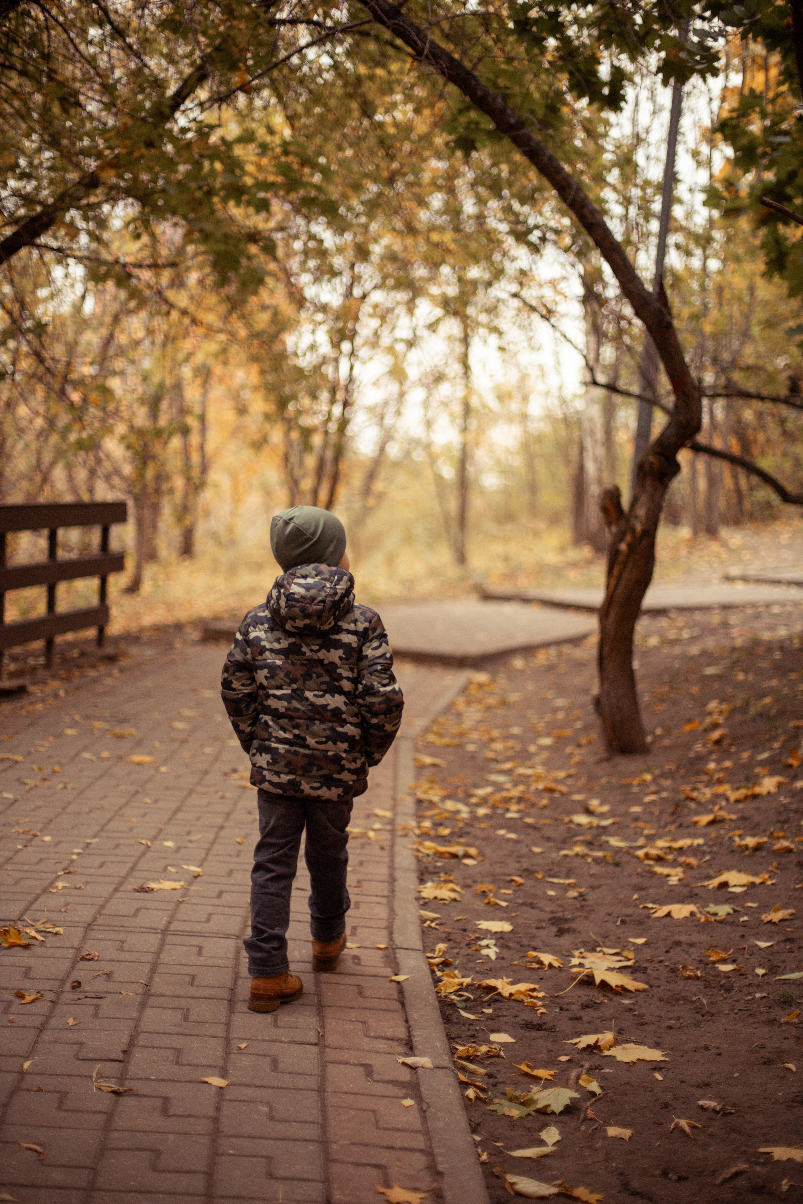 Фотосессия мальчика осенью. Семейный фотограф в г. Видное Дрынова Вера