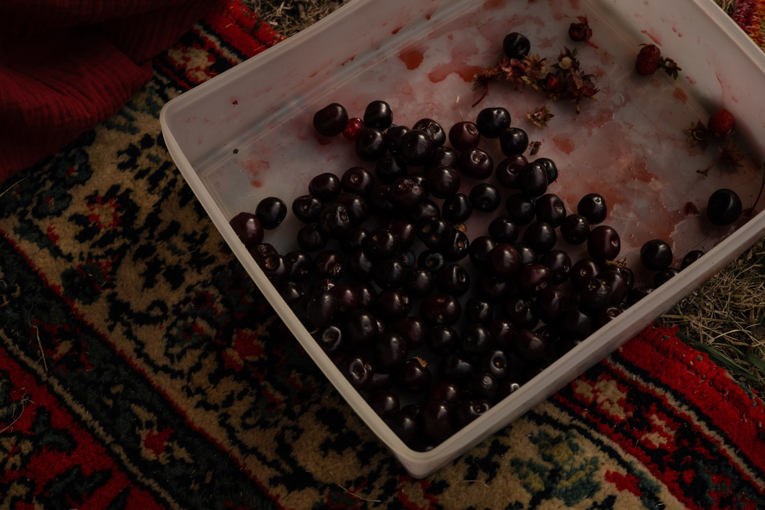 Красный шатёр