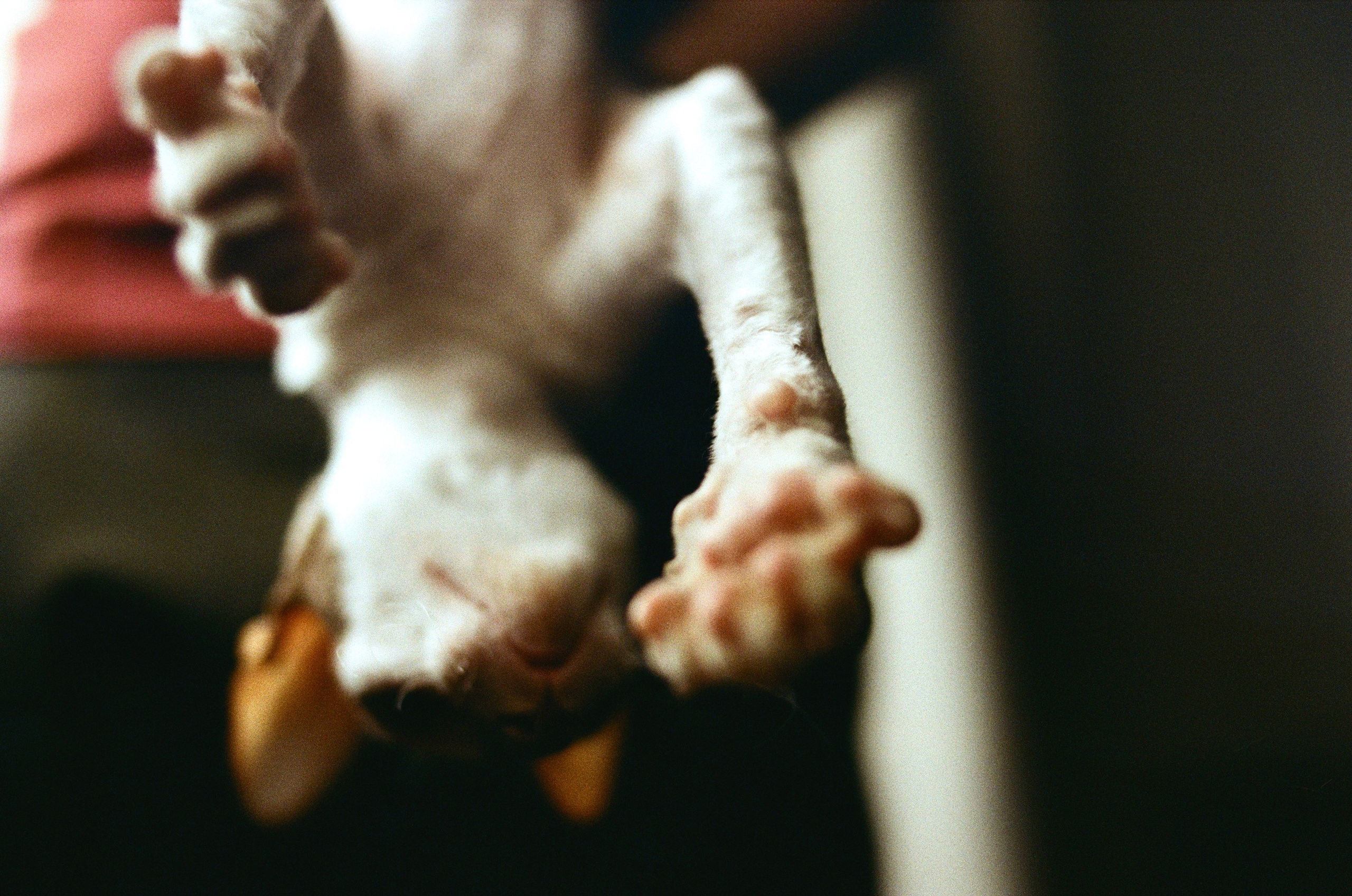 Film. Ruslan UI Dev Page