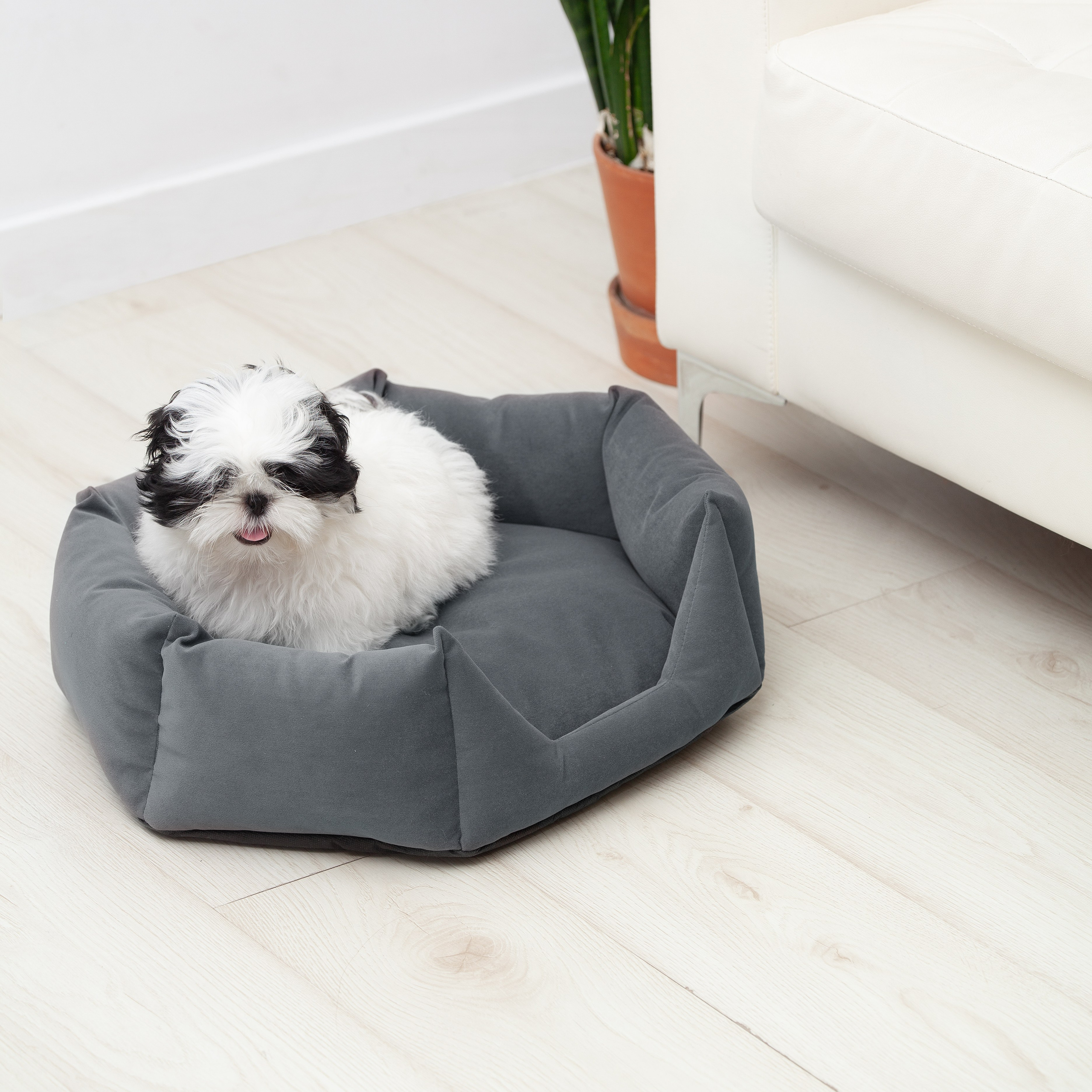 Юлия Василенко, Предметный фотограф Барнаул, бьюти съемка ,съемка крема, косметика, фото для бренда в Барнауле, фото для маркетплейсов, съёмка для упаковки, фото упаковка, прайс на предметную фотосъемку, фотосъемка для производителя, предметная съемка