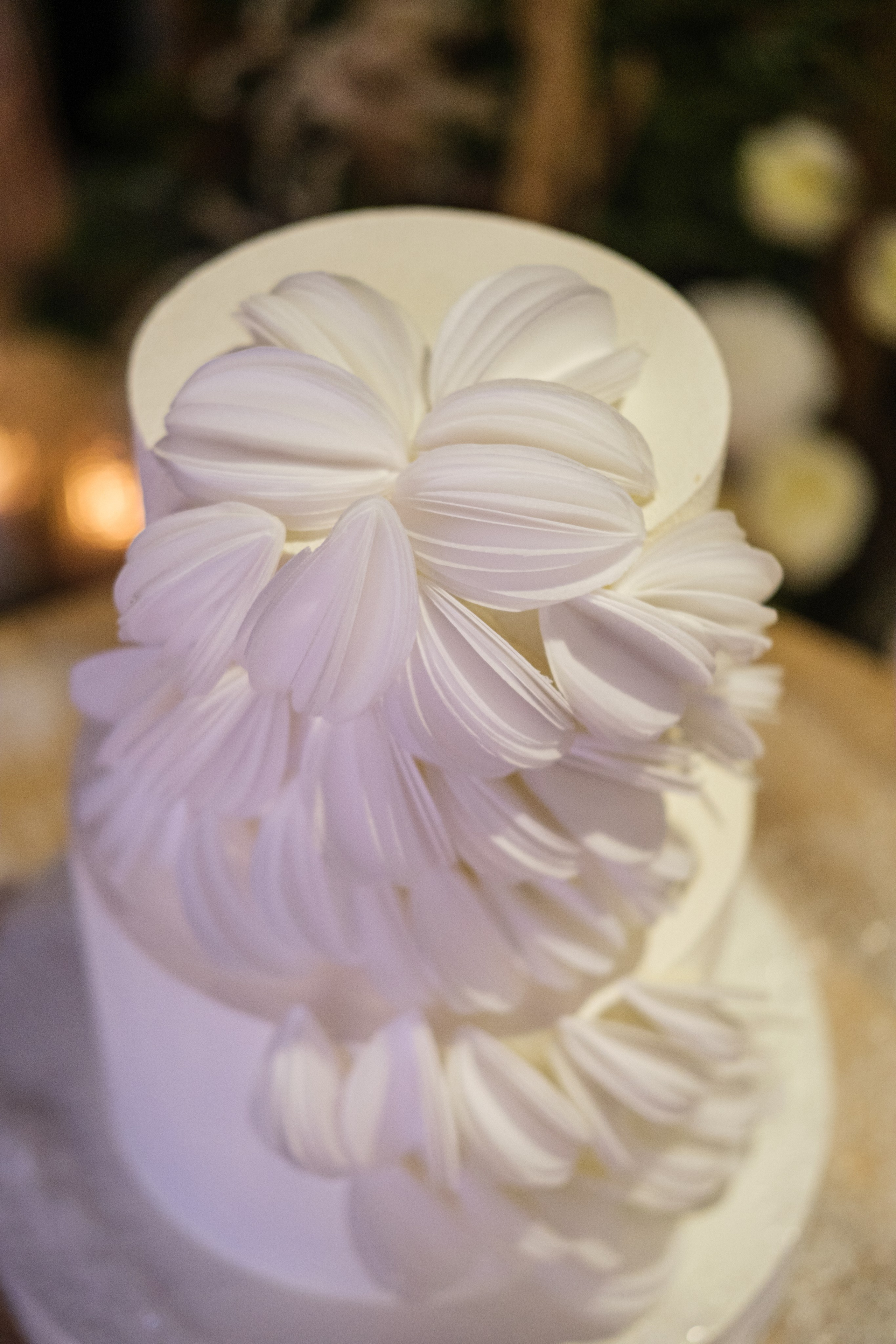 Алёна / Дмитрий. Свадебный Видеограф Фотограф в Сочи