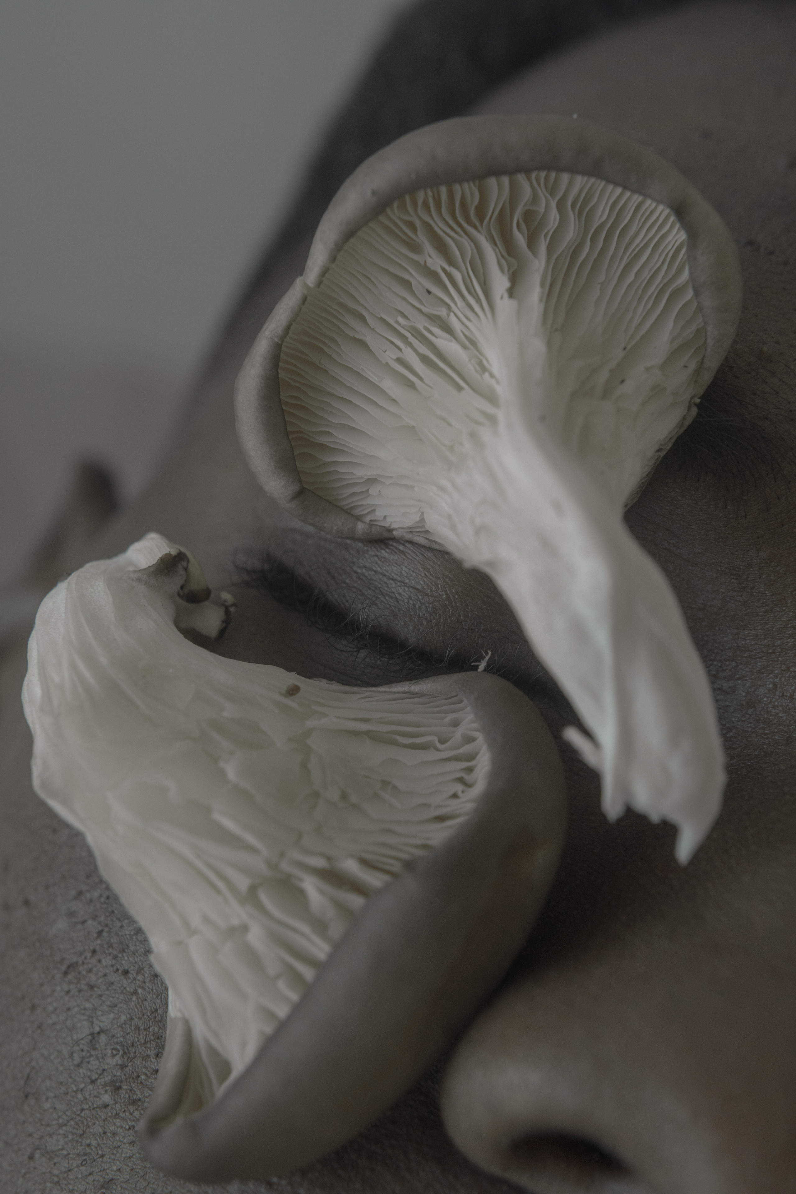 Silfrand. Art photographer Romanda Che