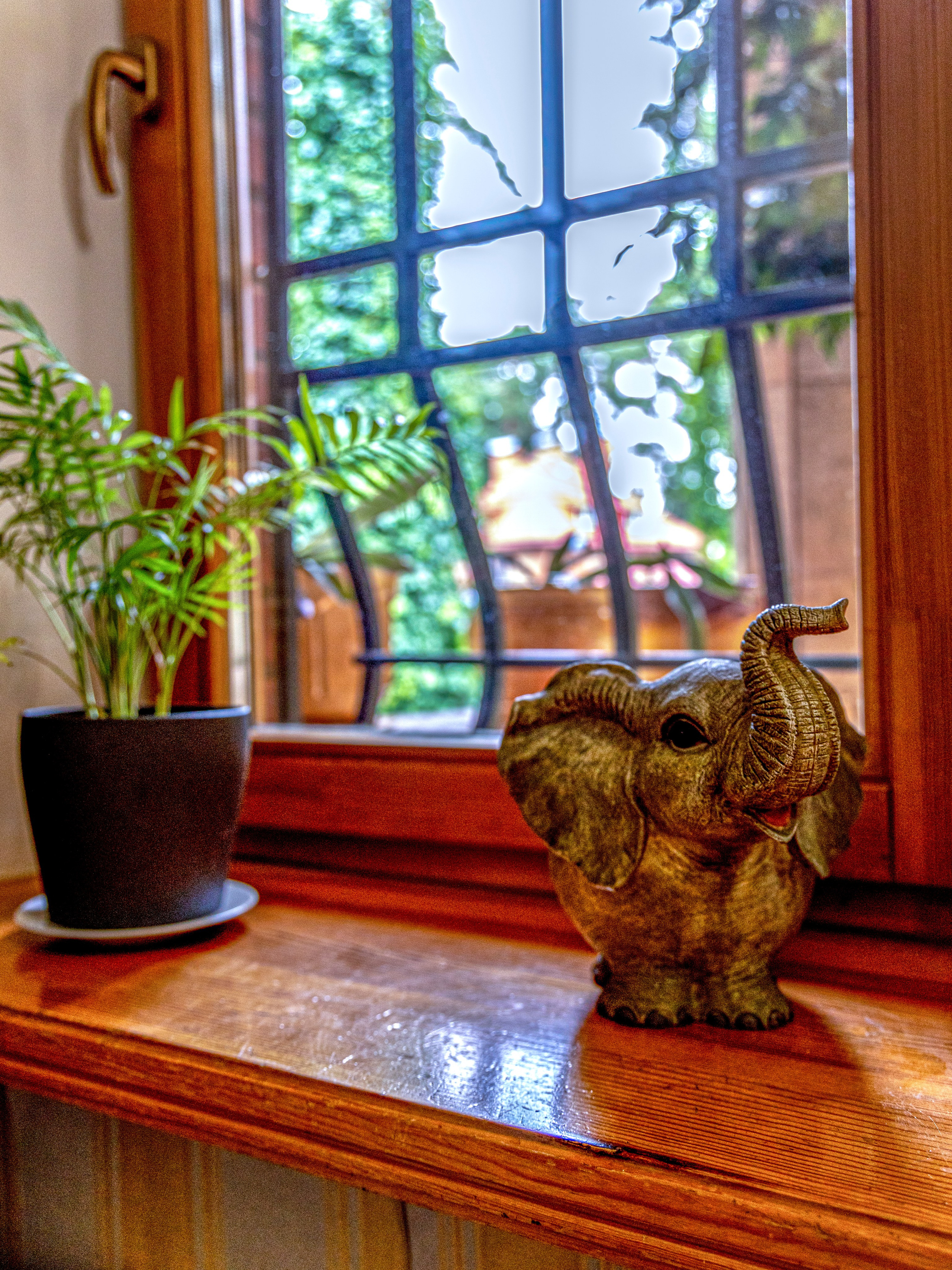 Фотограф Татьяна Марсуверских г. Жуковский, Москва и Мо. Репортажные съёмки, фотосессии. Детский, семейный фотограф. Фотограф для маркетплейсов, фотоуслуги в Жуковском Татьяна Марсуверских