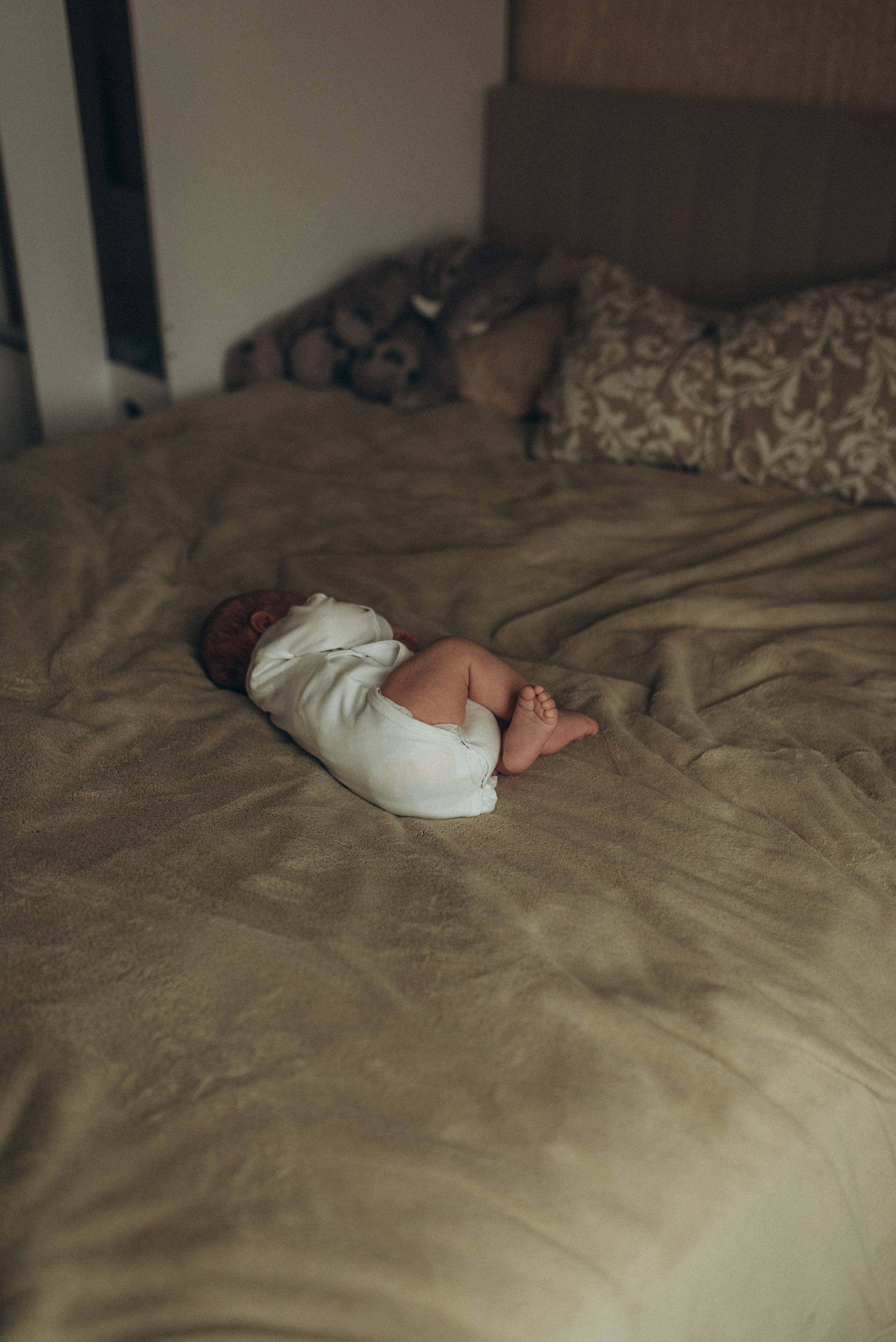 Всеволод. Семейный фотограф в Москве Екатерина Север