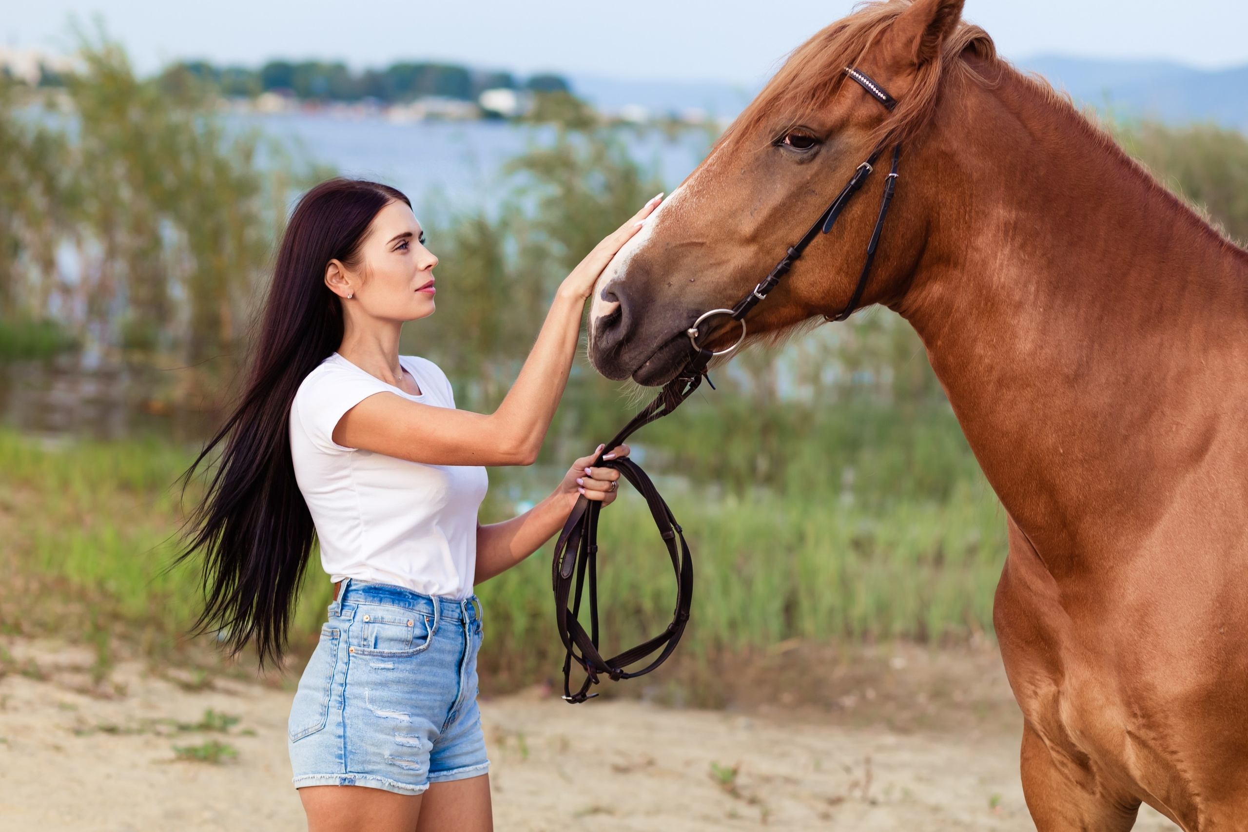 Фотосессии с лошадьми. Фотограф в Комсомольске-на-Амуре